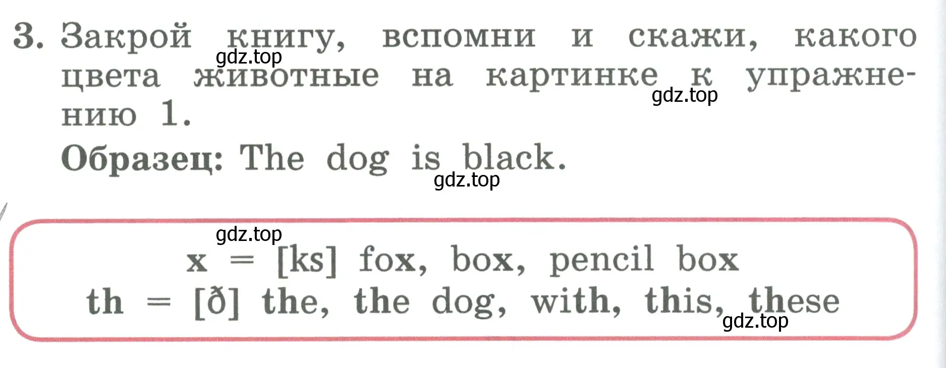 Условие номер 3 (страница 88) гдз по английскому языку 2 класс Биболетова, Денисенко, учебник