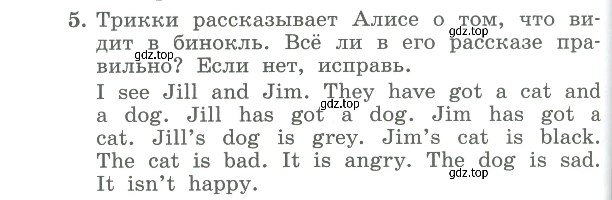 Условие номер 5 (страница 100) гдз по английскому языку 2 класс Биболетова, Денисенко, учебник