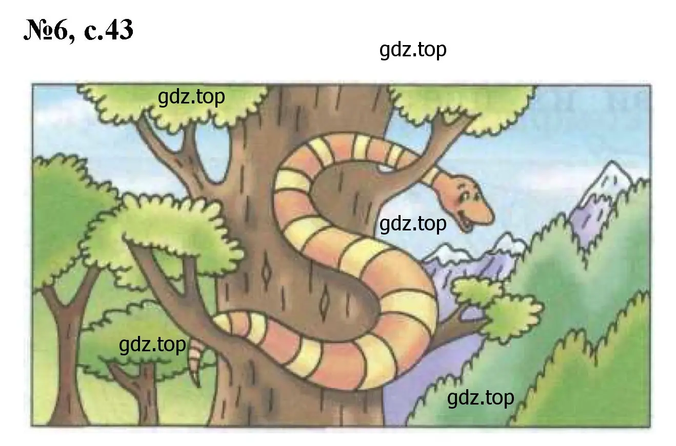 Решение номер 6 (страница 43) гдз по английскому языку 2 класс Биболетова, Денисенко, учебник