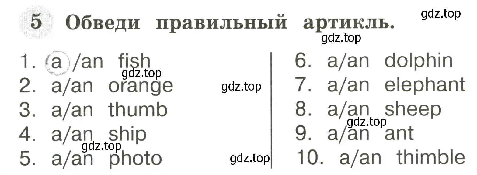 Условие номер 5 (страница 5) гдз по английскому языку 2 класс Юшина, грамматический тренажёр