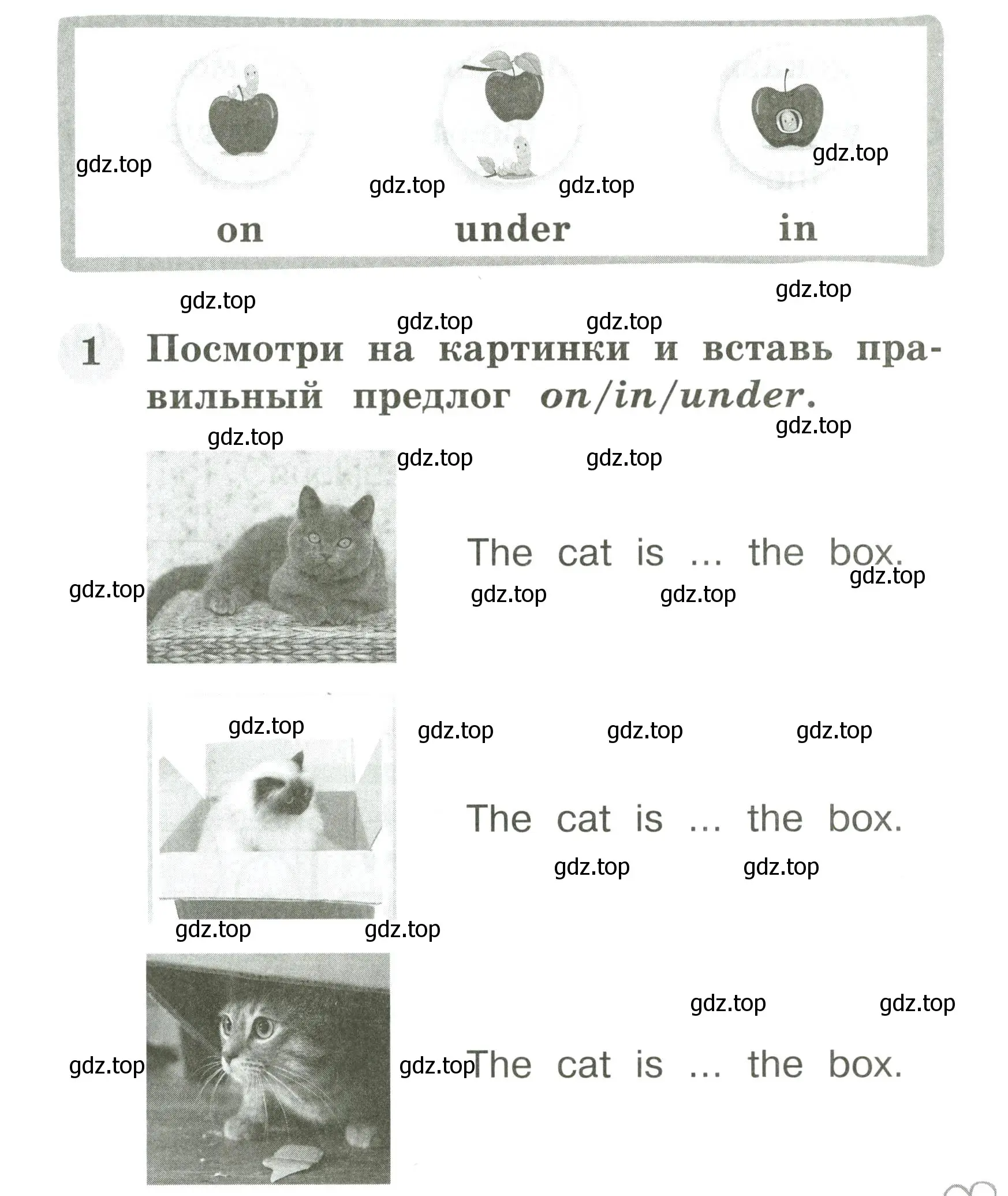 Условие номер 1 (страница 45) гдз по английскому языку 2 класс Юшина, грамматический тренажёр