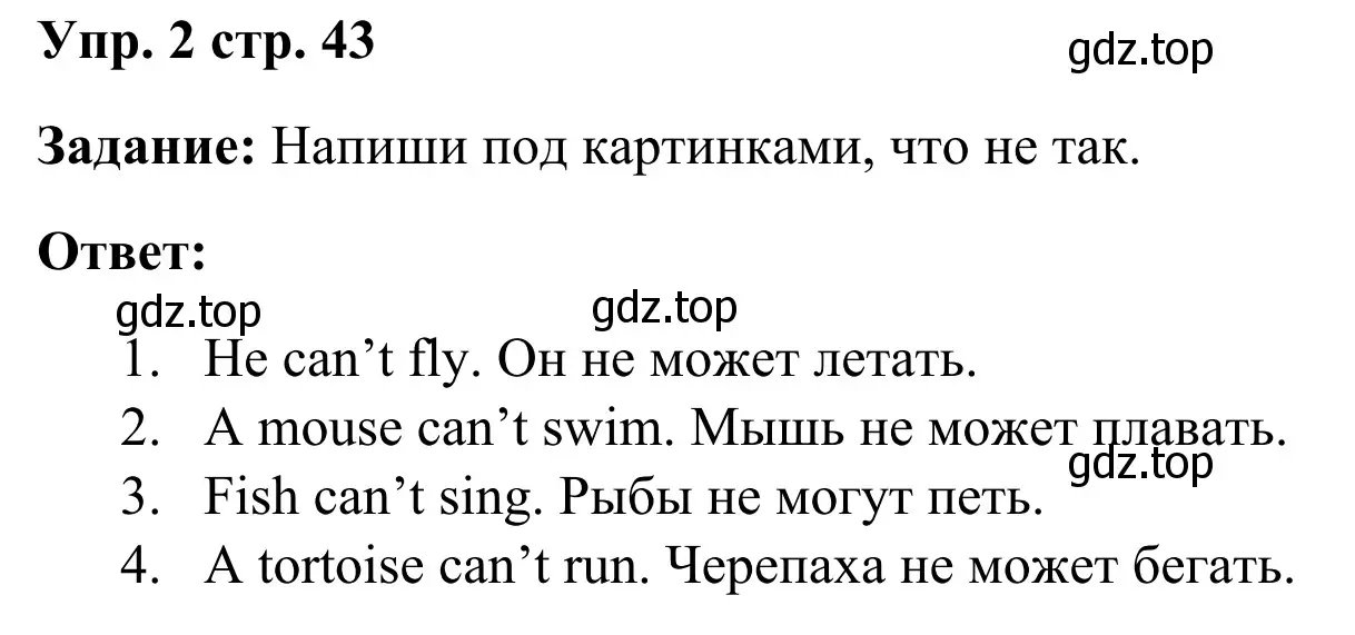 Решение 2. номер 2 (страница 43) гдз по английскому языку 2 класс Юшина, грамматический тренажёр