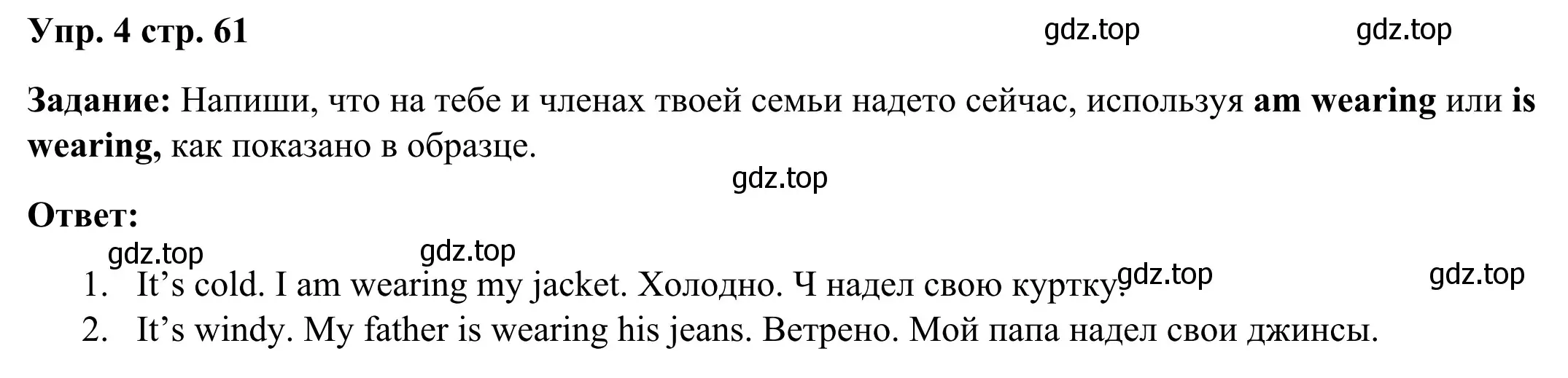 Решение 2. номер 4 (страница 61) гдз по английскому языку 2 класс Юшина, грамматический тренажёр