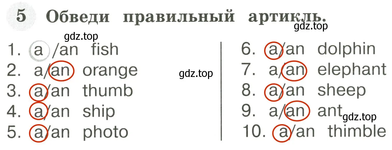 Решение 3. номер 5 (страница 5) гдз по английскому языку 2 класс Юшина, грамматический тренажёр