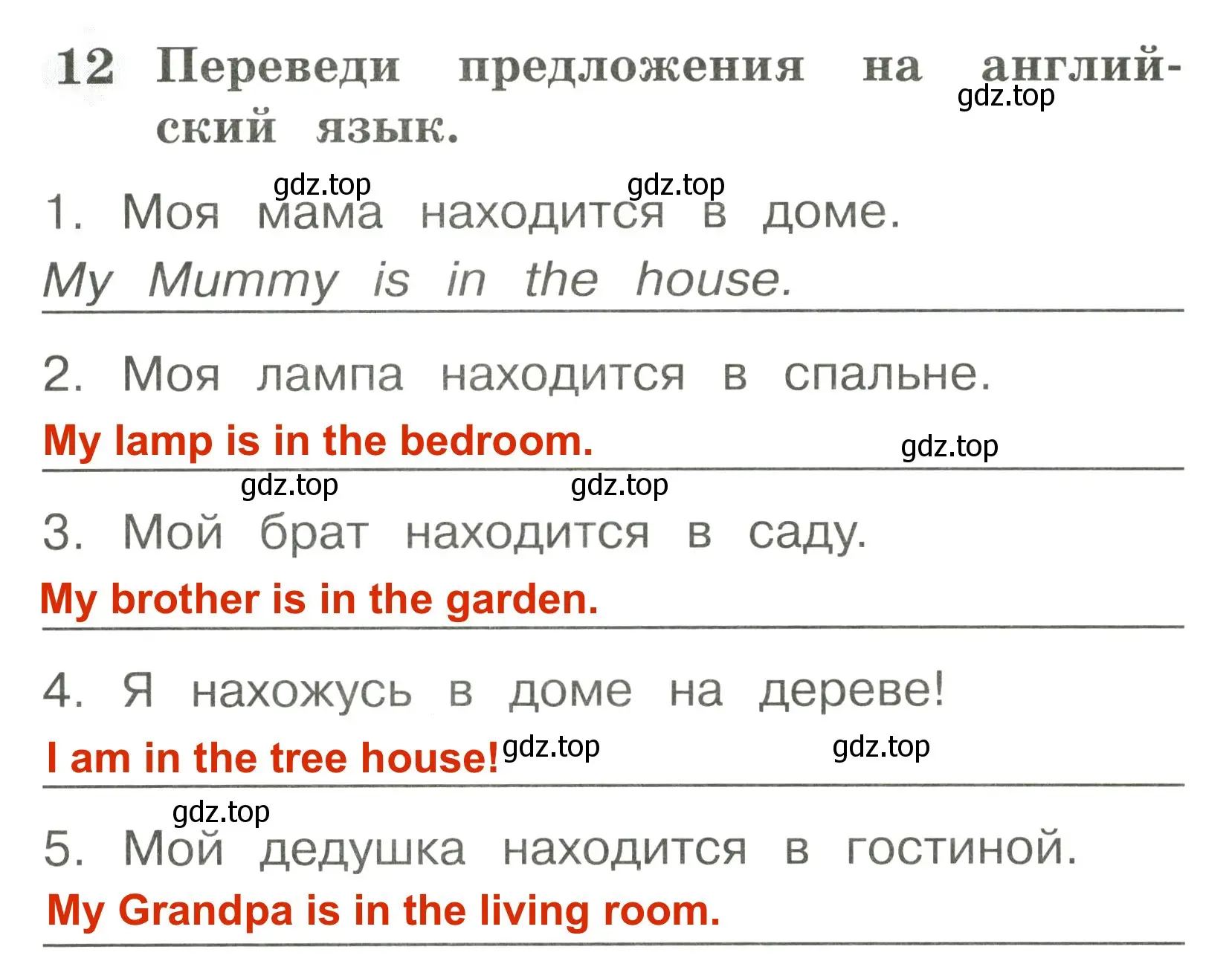 Решение 3. номер 12 (страница 15) гдз по английскому языку 2 класс Юшина, грамматический тренажёр