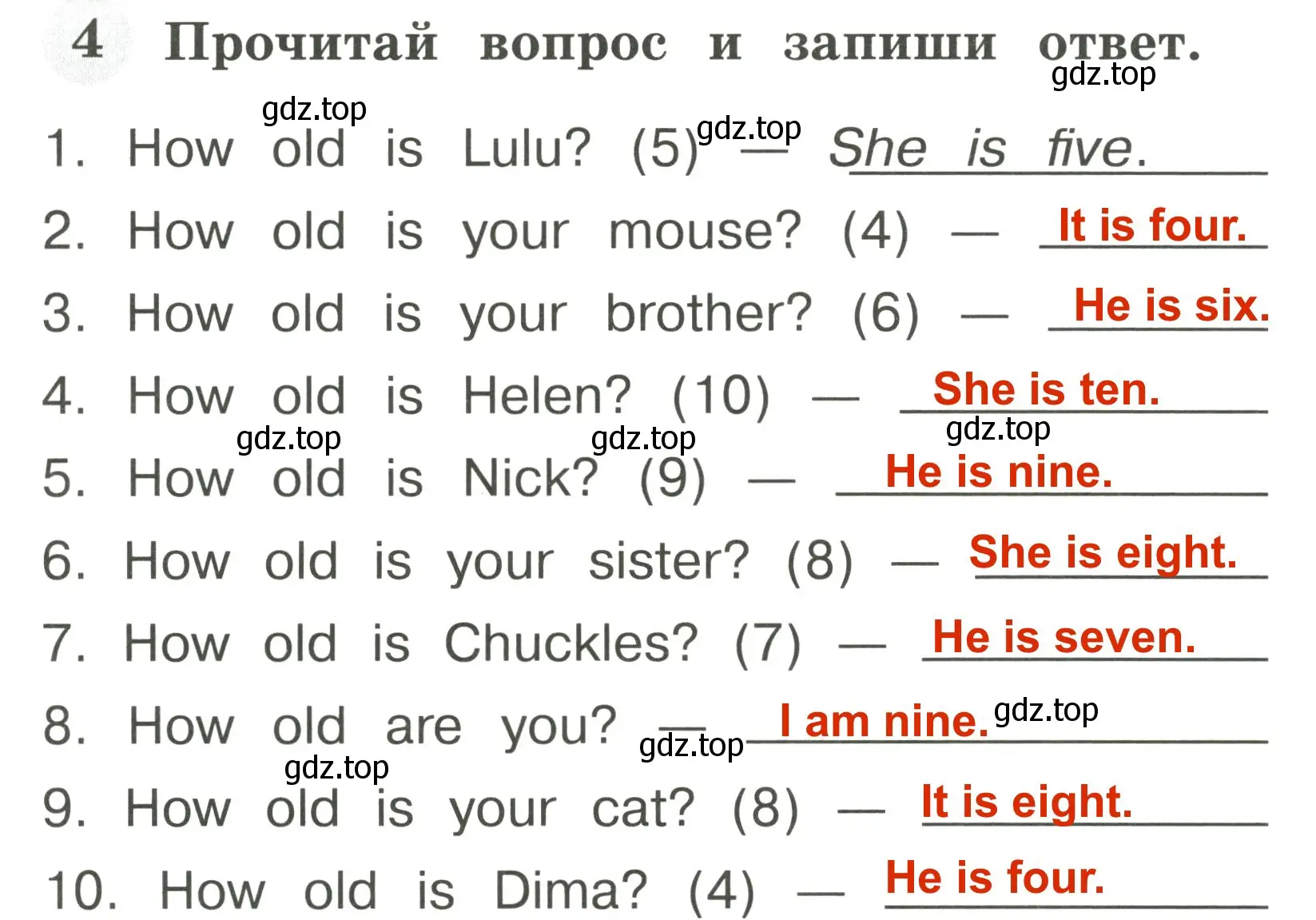 Решение 3. номер 4 (страница 20) гдз по английскому языку 2 класс Юшина, грамматический тренажёр