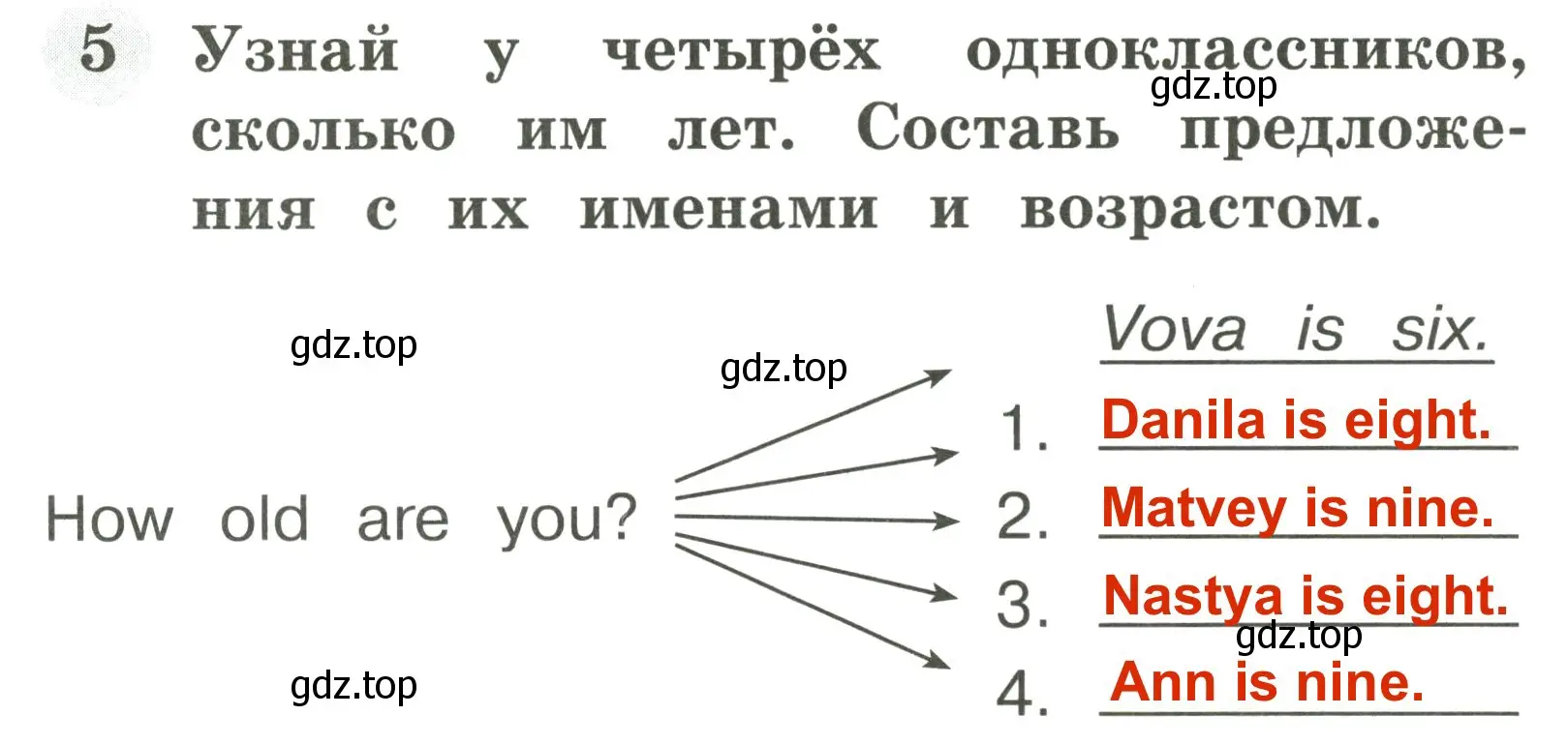 Решение 3. номер 5 (страница 21) гдз по английскому языку 2 класс Юшина, грамматический тренажёр