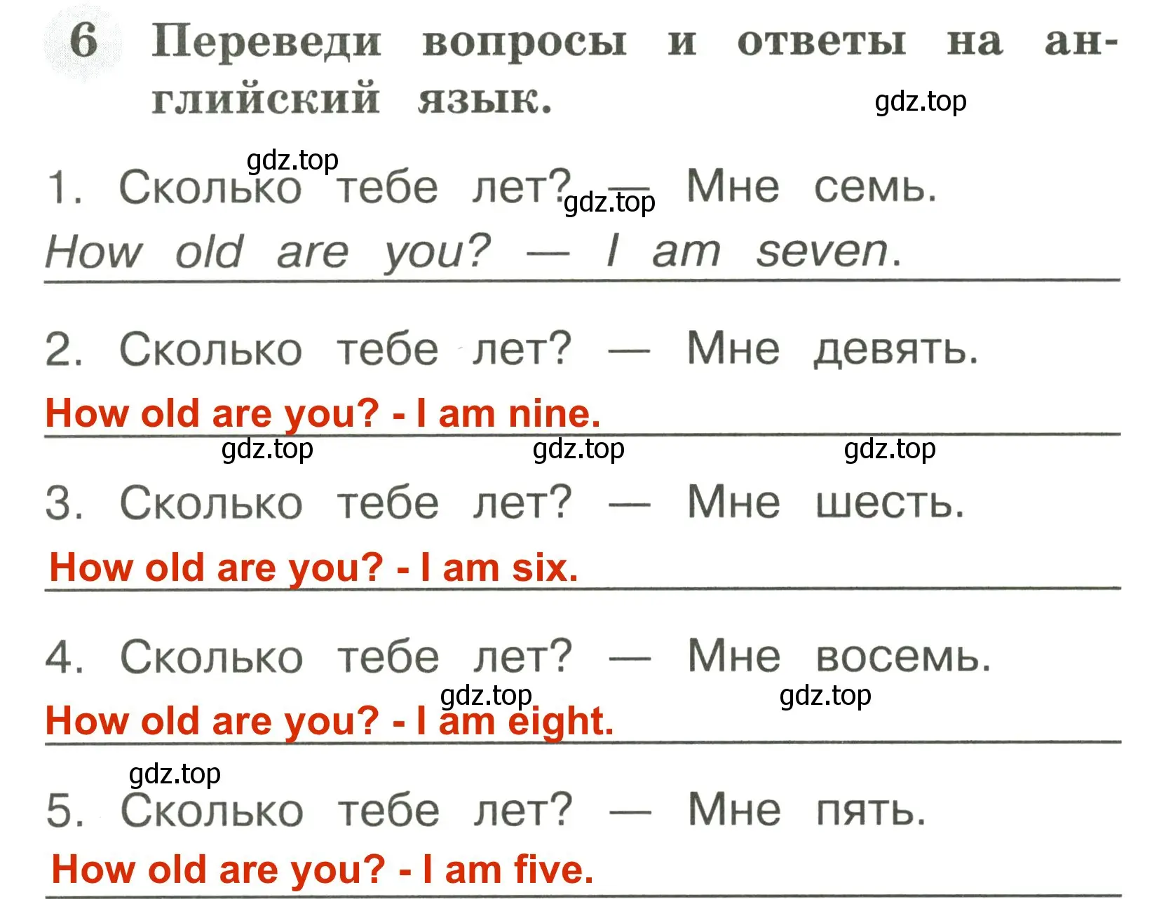 Решение 3. номер 6 (страница 21) гдз по английскому языку 2 класс Юшина, грамматический тренажёр