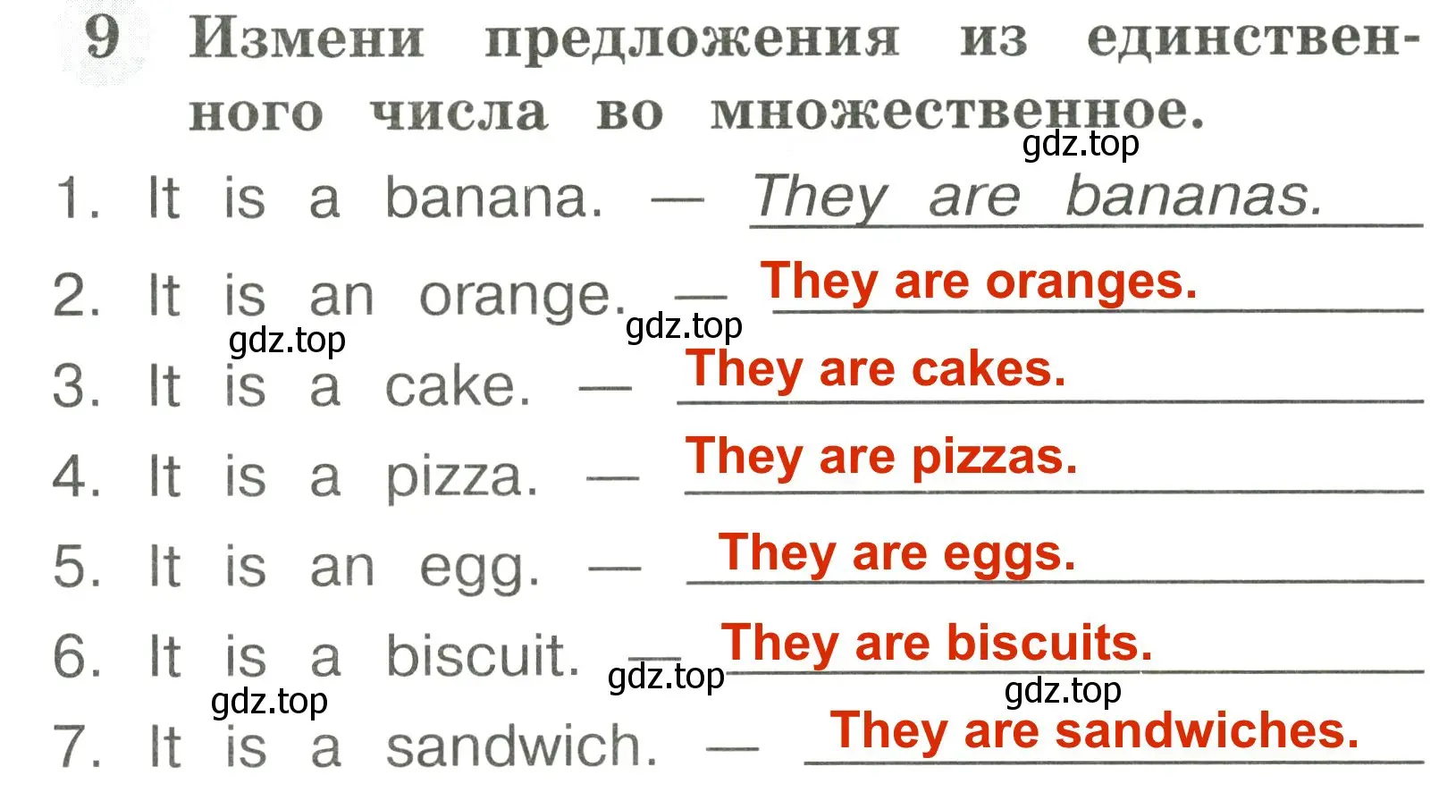 Решение 3. номер 9 (страница 23) гдз по английскому языку 2 класс Юшина, грамматический тренажёр