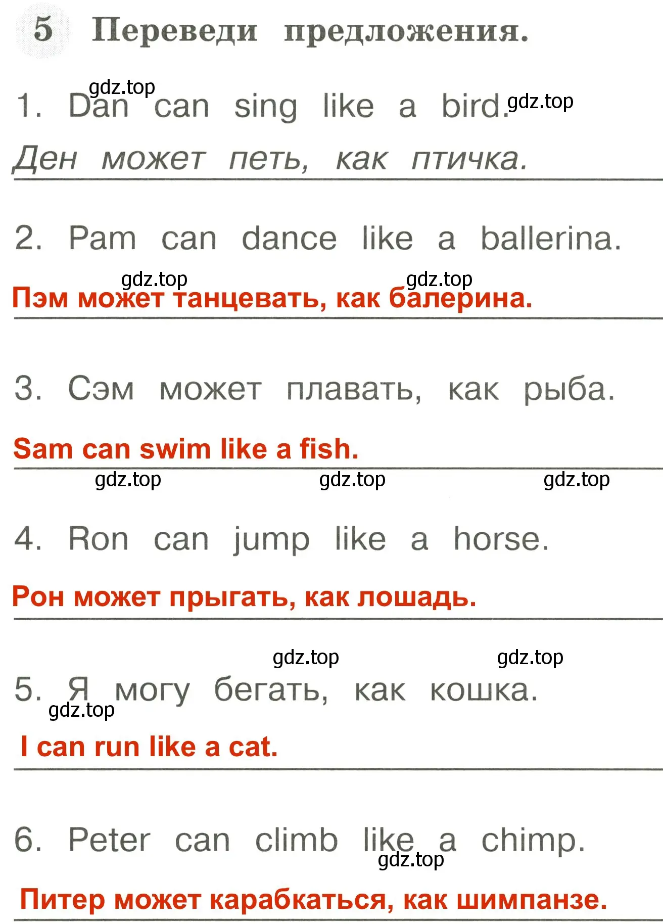 Решение 3. номер 5 (страница 36) гдз по английскому языку 2 класс Юшина, грамматический тренажёр