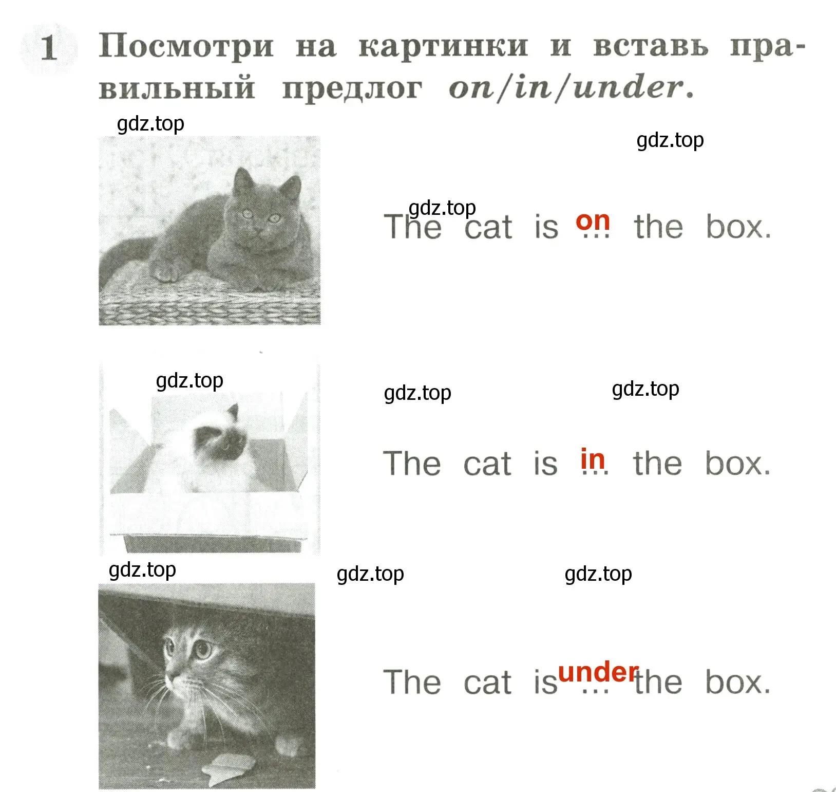 Решение 3. номер 1 (страница 45) гдз по английскому языку 2 класс Юшина, грамматический тренажёр