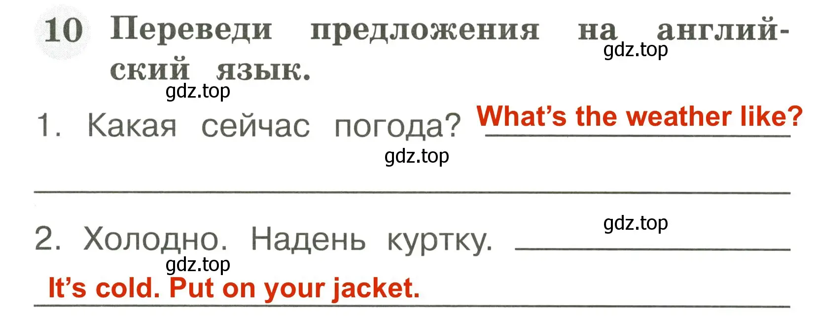 Решение 3. номер 10 (страница 65) гдз по английскому языку 2 класс Юшина, грамматический тренажёр