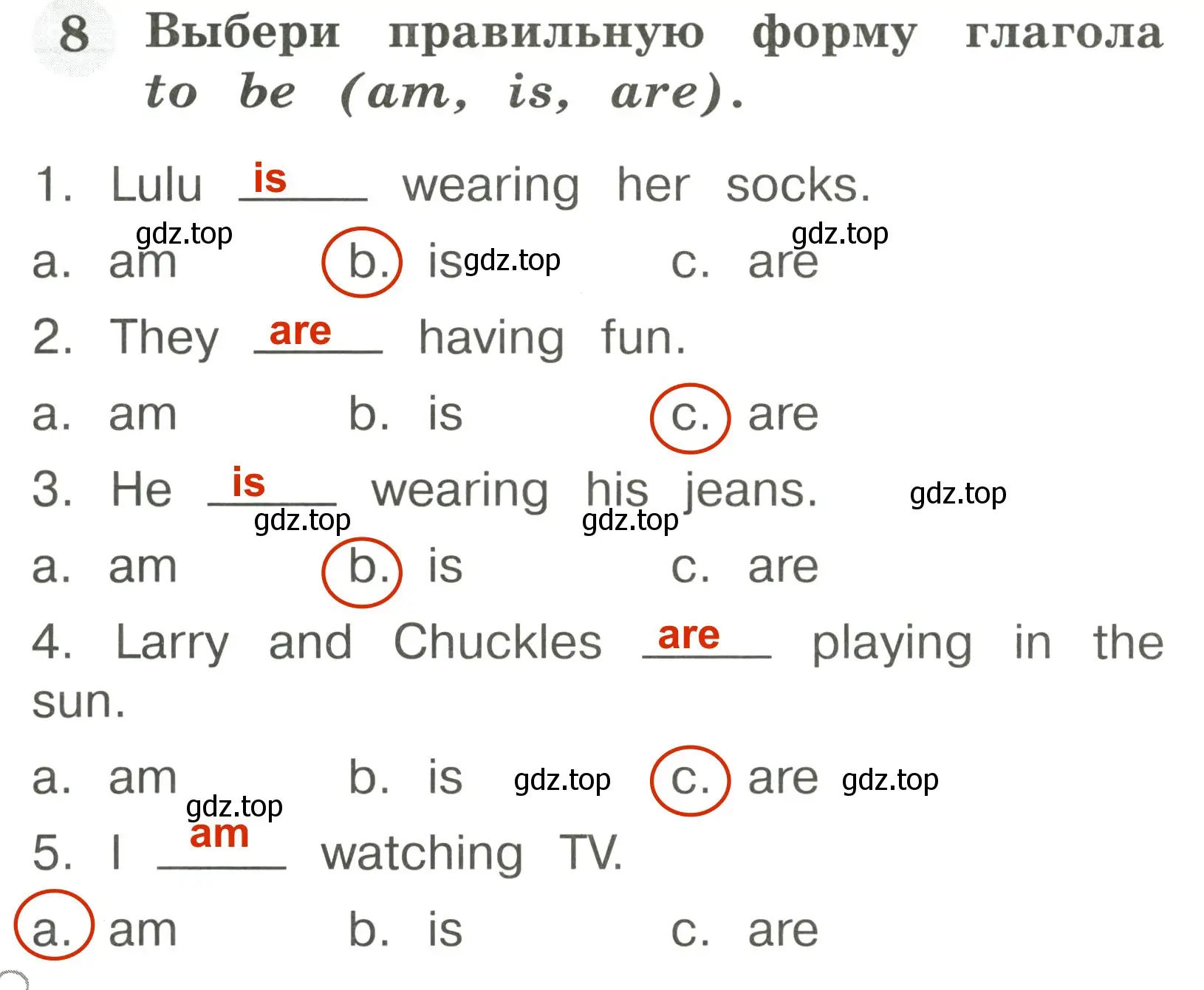 Решение 3. номер 8 (страница 64) гдз по английскому языку 2 класс Юшина, грамматический тренажёр