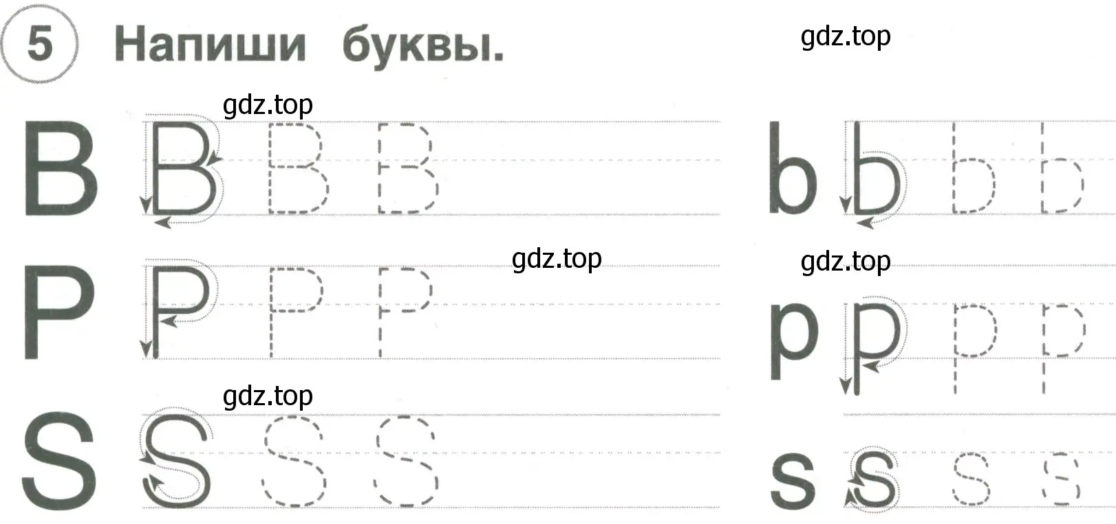 Условие номер 5 (страница 5) гдз по английскому языку 2 класс Комарова, Ларионова, рабочая тетрадь