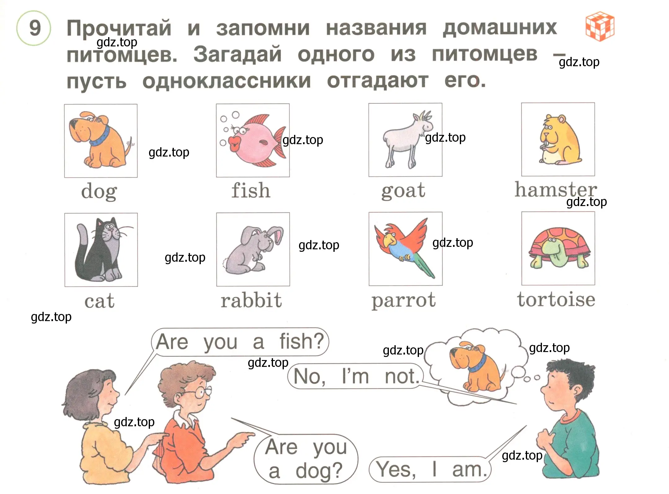 Условие номер 9 (страница 31) гдз по английскому языку 2 класс Комарова, Ларионова, учебник