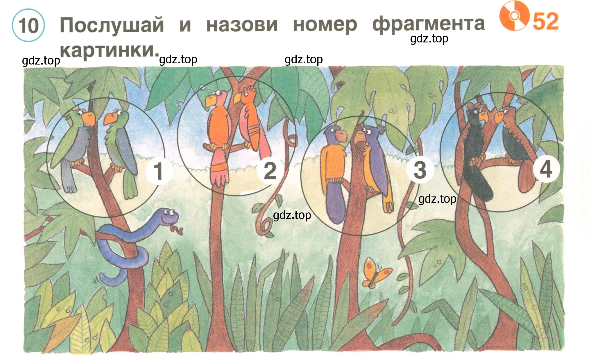 Условие номер 10 (страница 55) гдз по английскому языку 2 класс Комарова, Ларионова, учебник