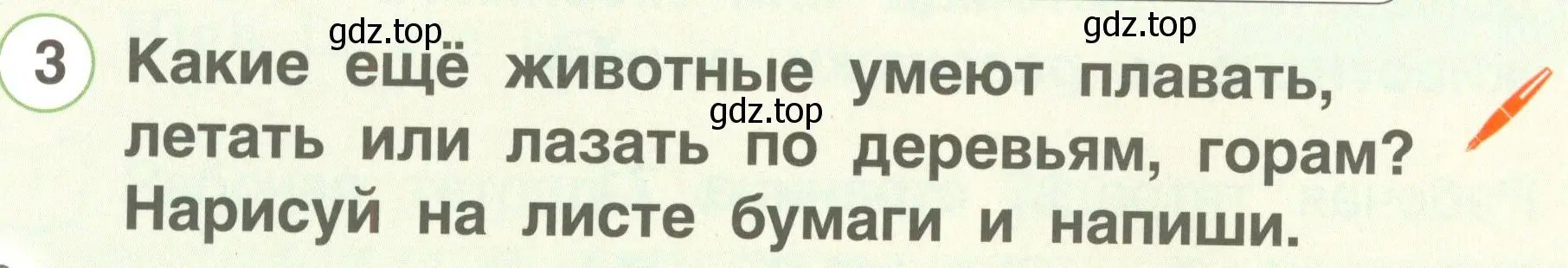 Условие номер 3 (страница 98) гдз по английскому языку 2 класс Комарова, Ларионова, учебник