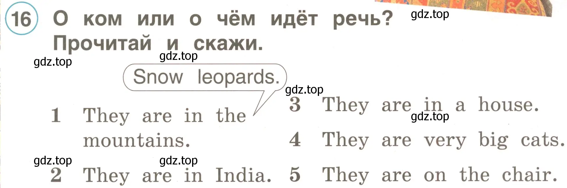 Условие номер 16 (страница 97) гдз по английскому языку 2 класс Комарова, Ларионова, учебник