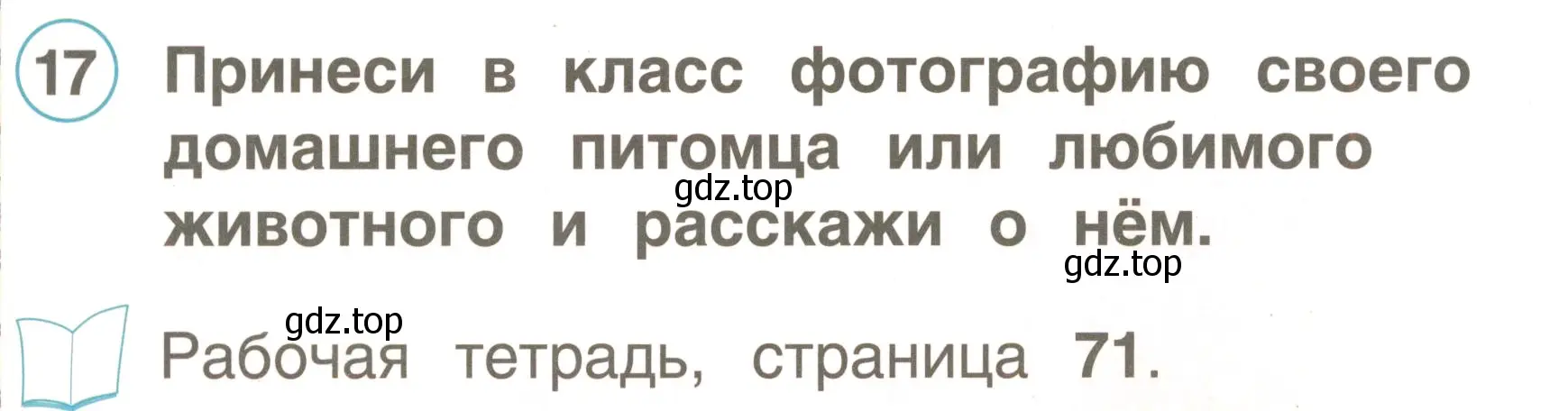 Условие номер 17 (страница 97) гдз по английскому языку 2 класс Комарова, Ларионова, учебник