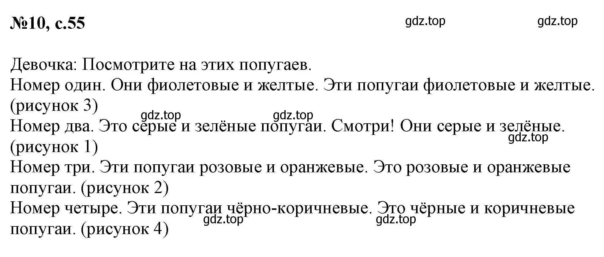 Решение номер 10 (страница 55) гдз по английскому языку 2 класс Комарова, Ларионова, учебник