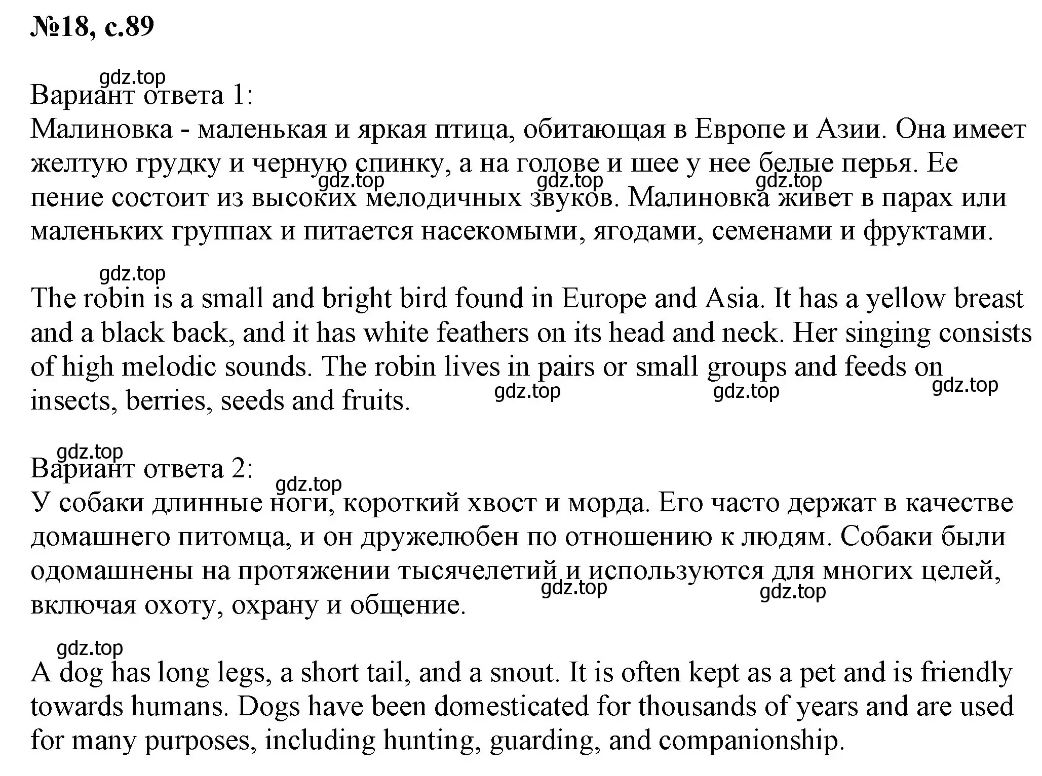 Решение номер 18 (страница 89) гдз по английскому языку 2 класс Комарова, Ларионова, учебник