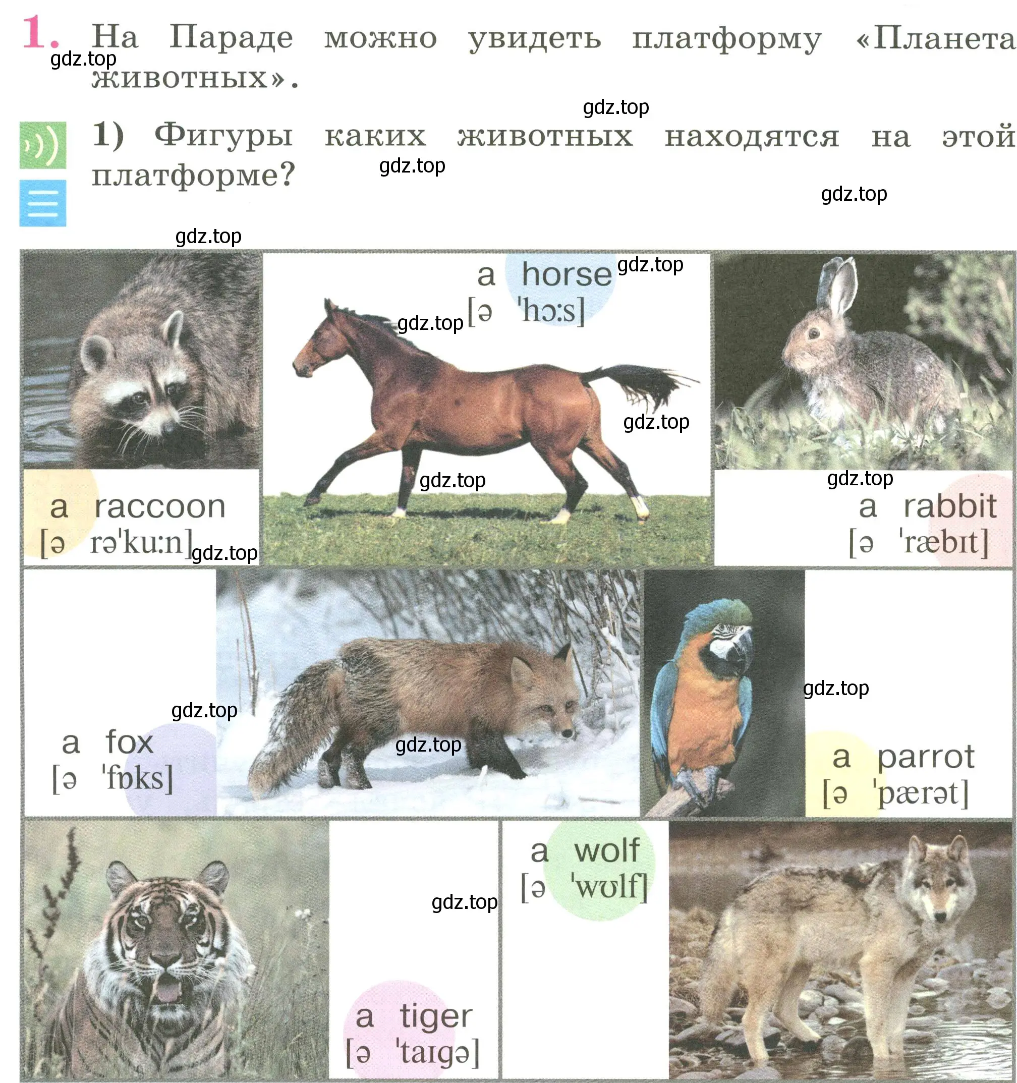 Условие номер 1 (страница 60) гдз по английскому языку 2 класс Кузовлев, Перегудова, учебник 1 часть