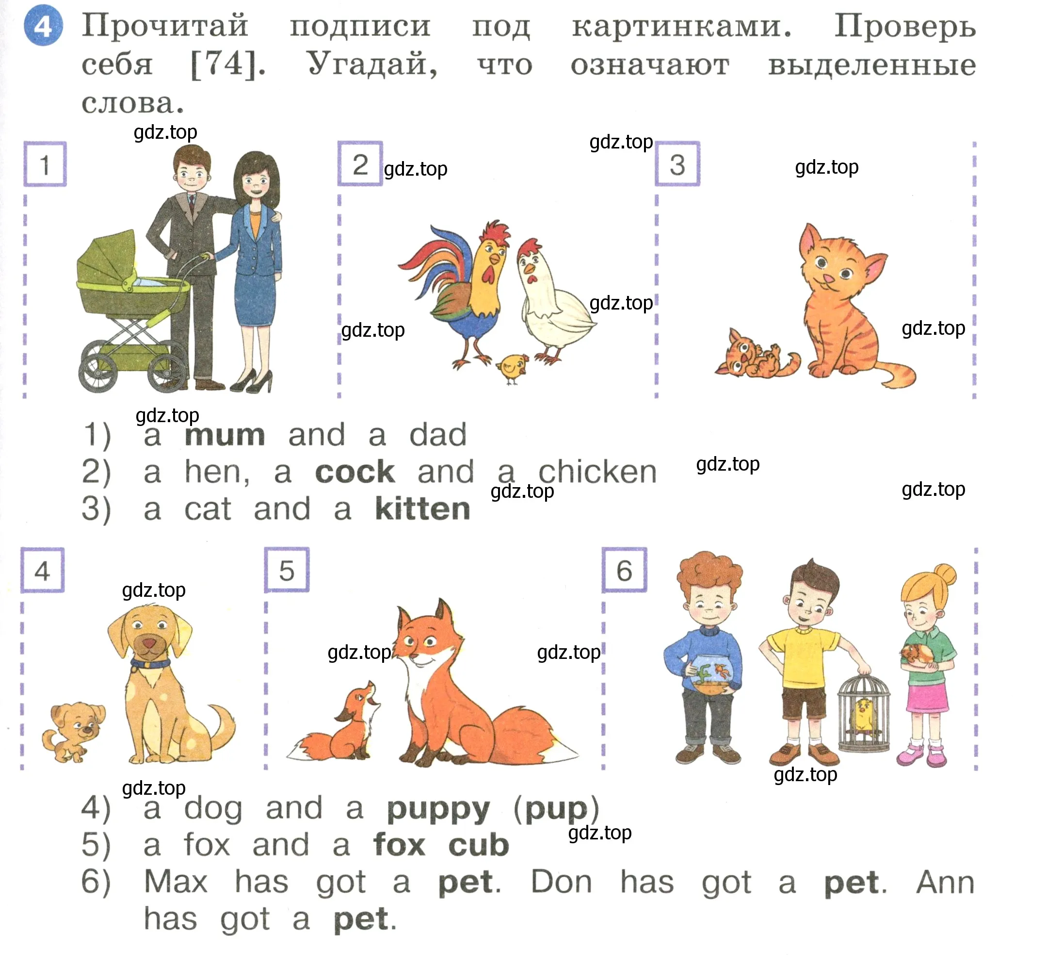 Условие номер 4 (страница 63) гдз по английскому языку 2 класс Афанасьева, Баранова, учебник 1 часть