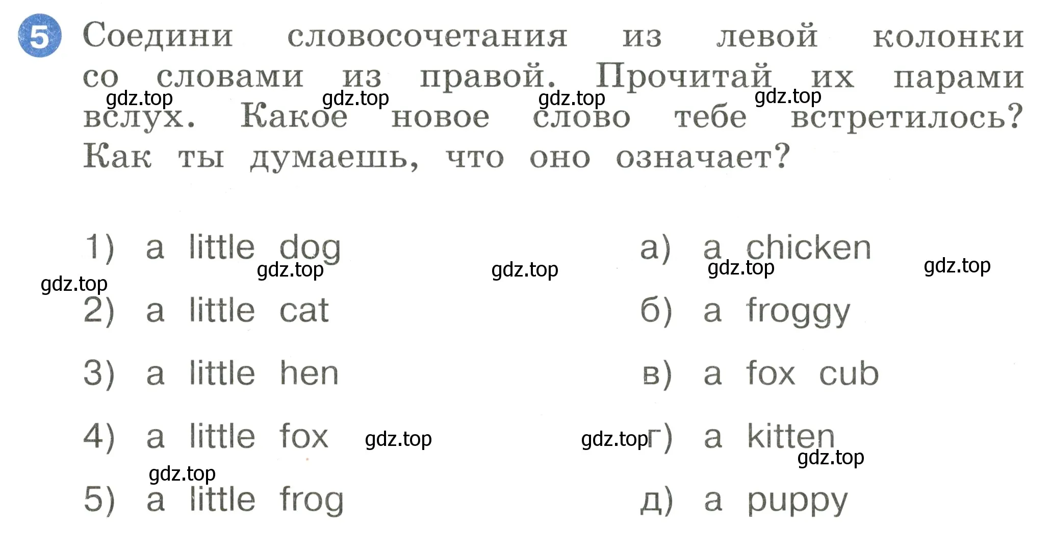 Условие номер 5 (страница 64) гдз по английскому языку 2 класс Афанасьева, Баранова, учебник 1 часть