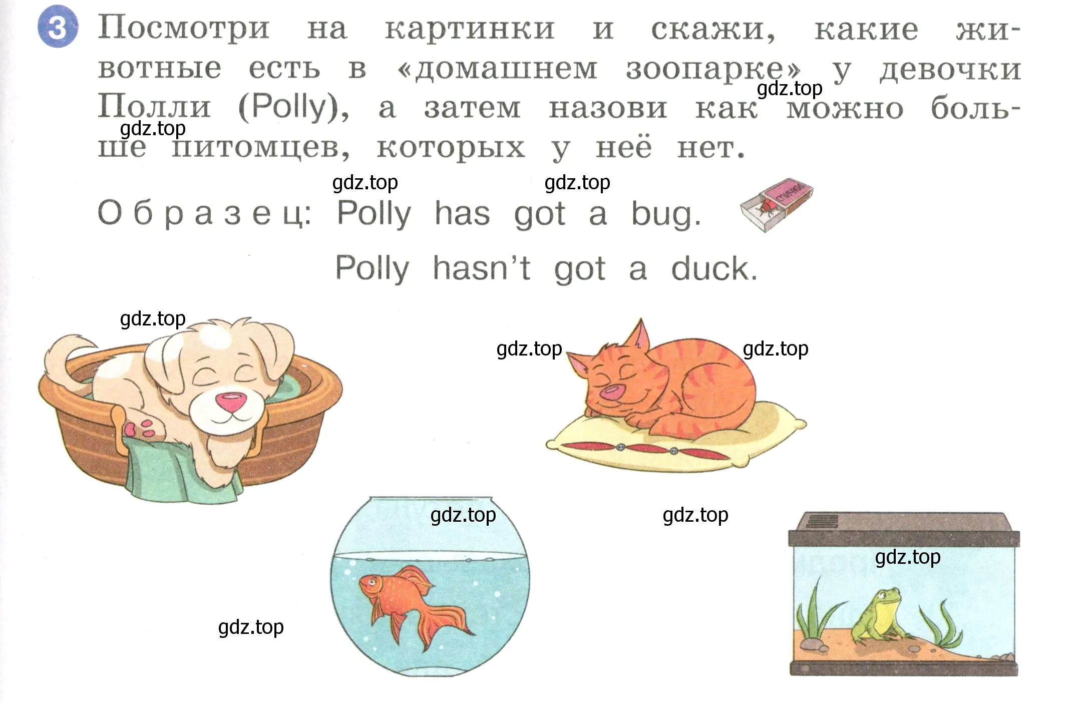 Условие номер 3 (страница 67) гдз по английскому языку 2 класс Афанасьева, Баранова, учебник 1 часть