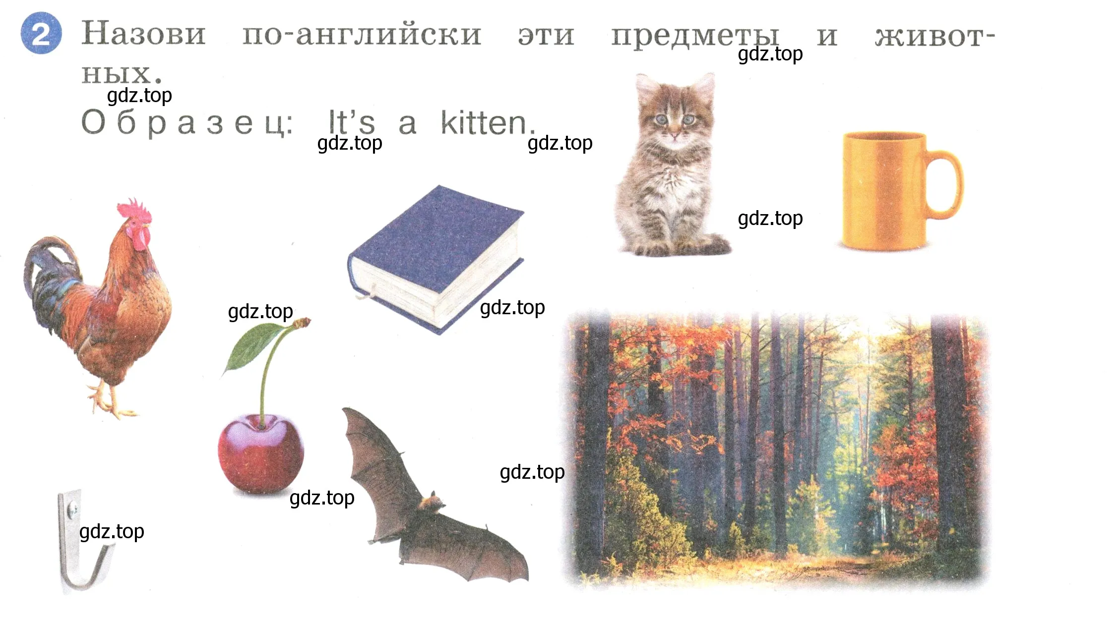 Условие номер 2 (страница 87) гдз по английскому языку 2 класс Афанасьева, Баранова, учебник 1 часть