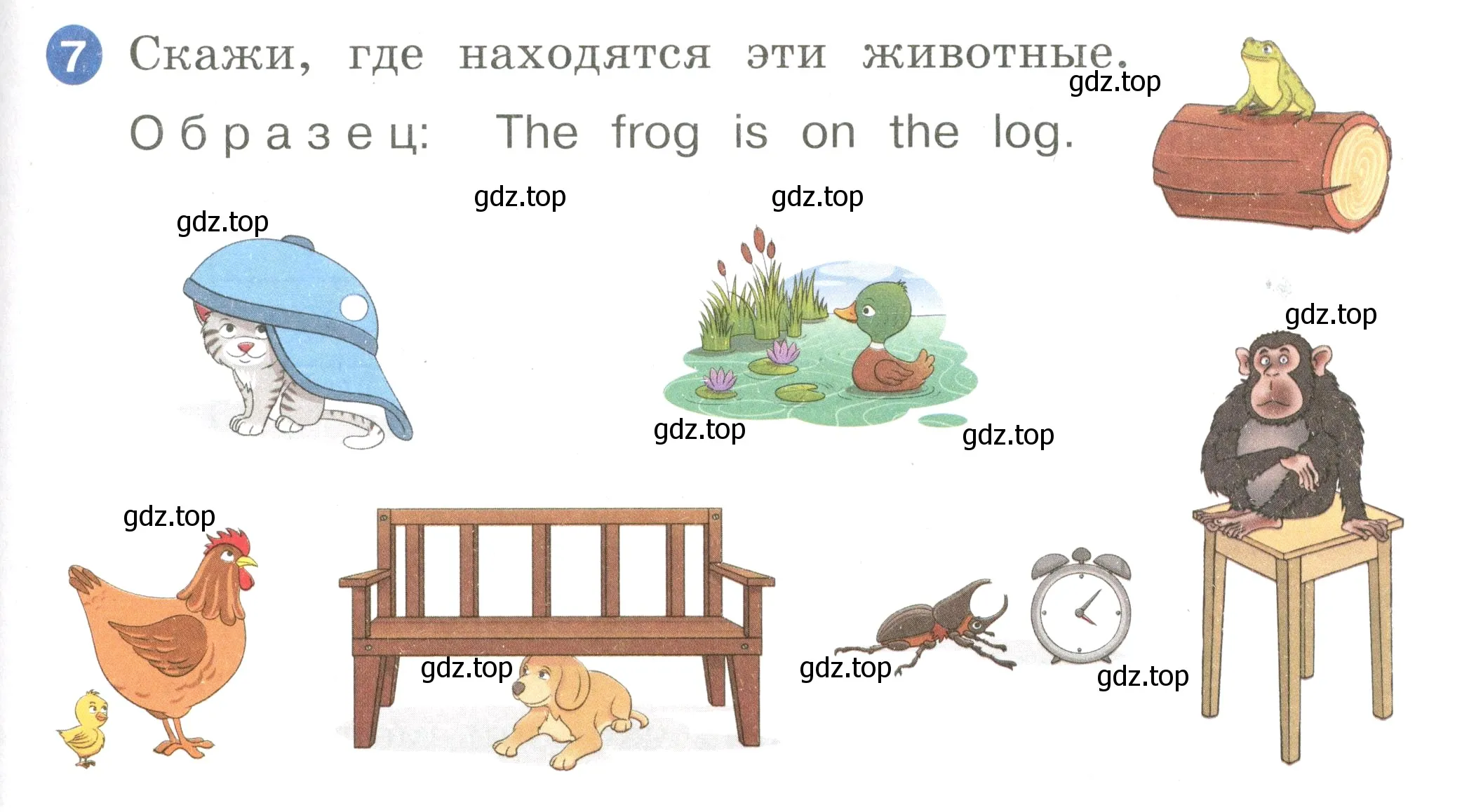 Условие номер 7 (страница 105) гдз по английскому языку 2 класс Афанасьева, Баранова, учебник 1 часть