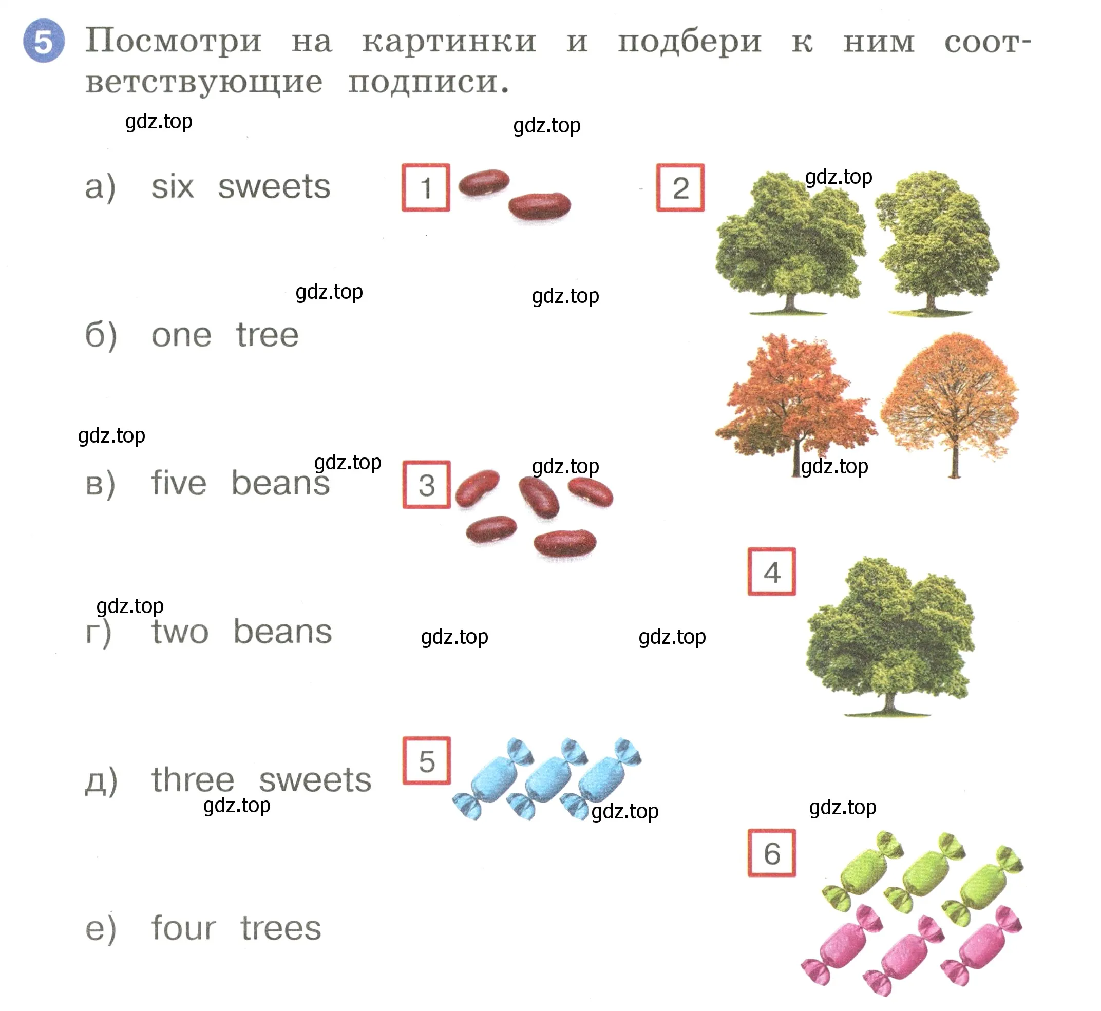 Условие номер 5 (страница 17) гдз по английскому языку 2 класс Афанасьева, Баранова, учебник 2 часть