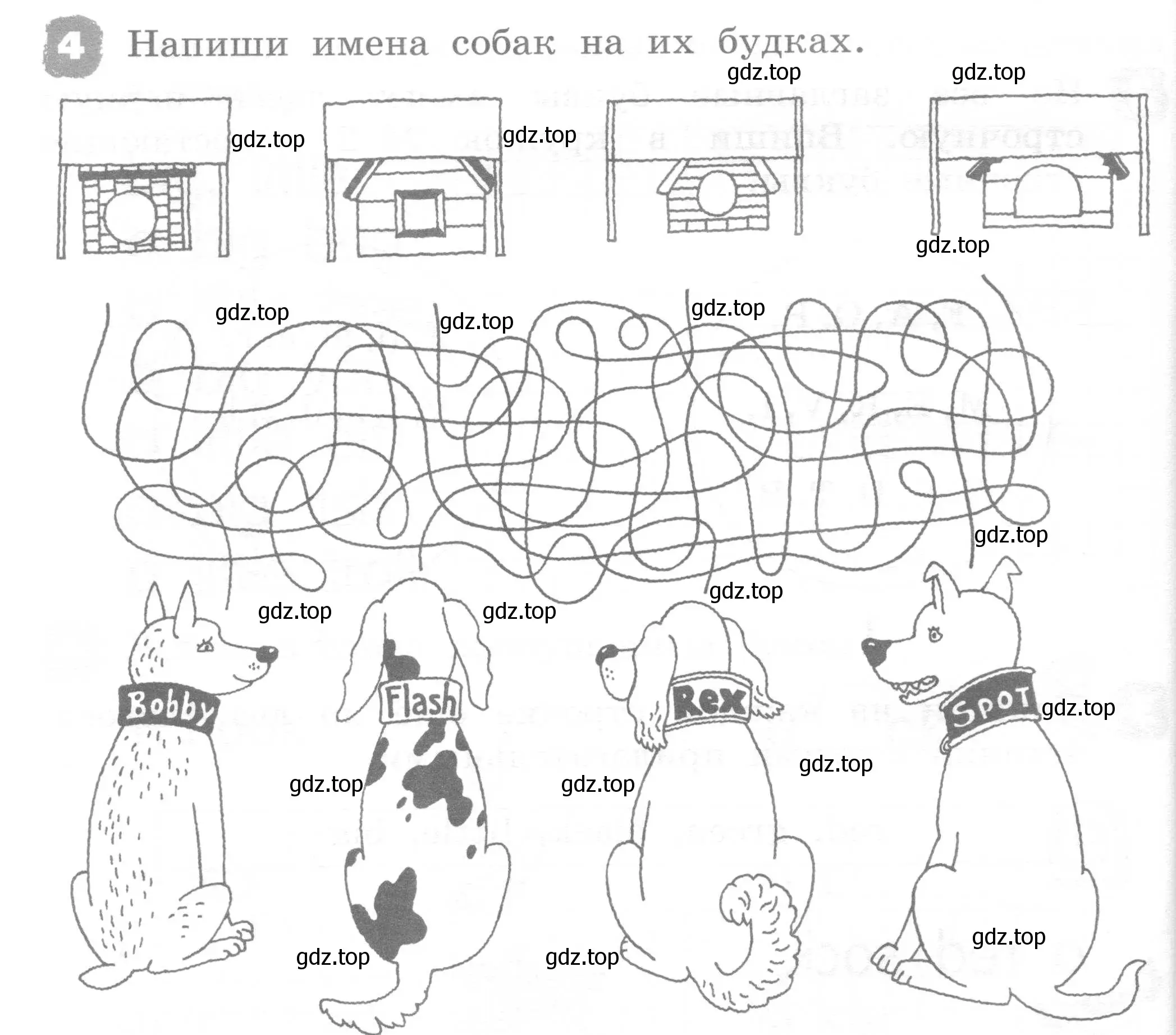 Условие номер 4 (страница 36) гдз по английскому языку 2 класс Афанасьева, Михеева, рабочая тетрадь