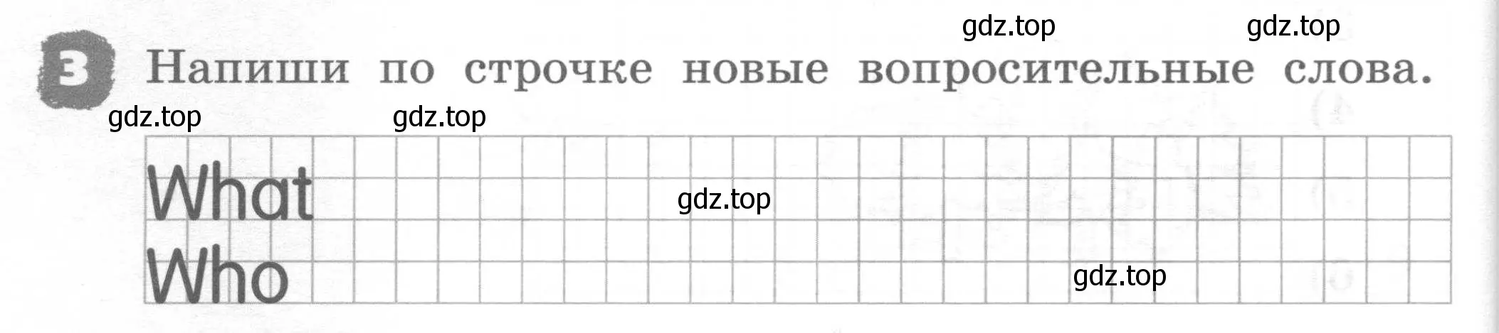 Условие номер 3 (страница 48) гдз по английскому языку 2 класс Афанасьева, Михеева, рабочая тетрадь