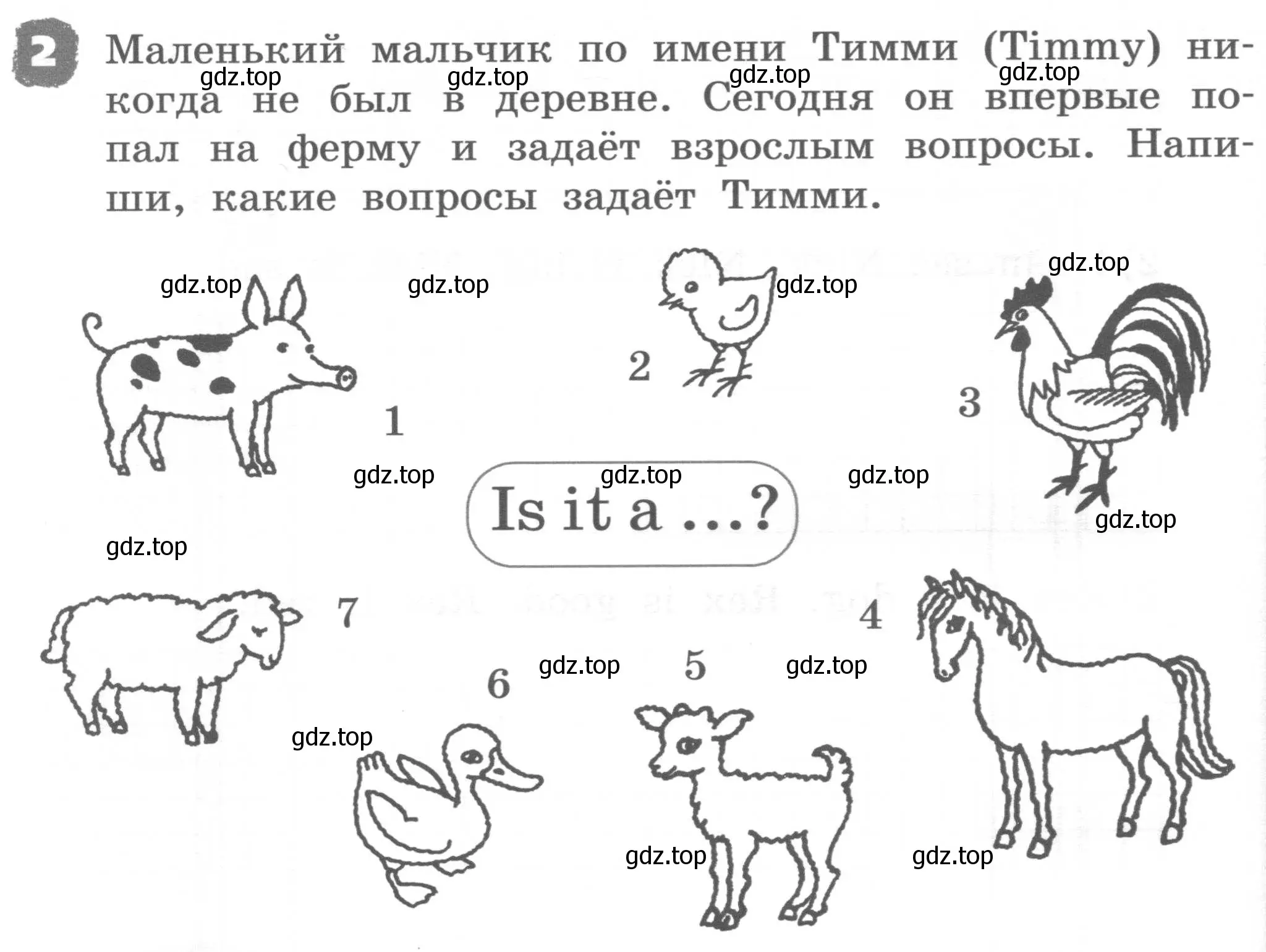 Условие номер 2 (страница 56) гдз по английскому языку 2 класс Афанасьева, Михеева, рабочая тетрадь