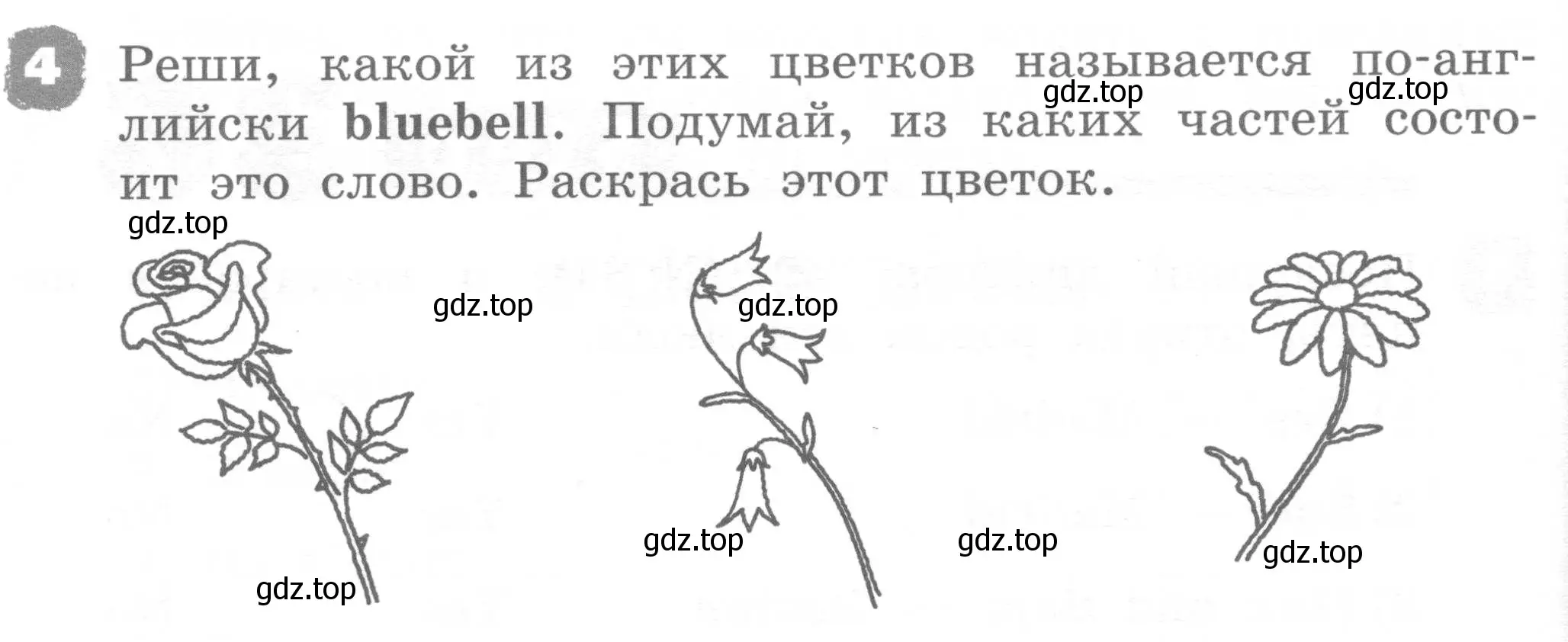 Условие номер 4 (страница 68) гдз по английскому языку 2 класс Афанасьева, Михеева, рабочая тетрадь