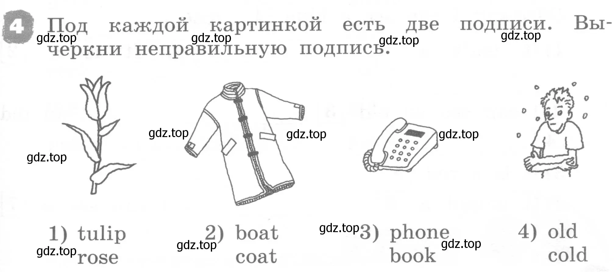 Условие номер 4 (страница 75) гдз по английскому языку 2 класс Афанасьева, Михеева, рабочая тетрадь