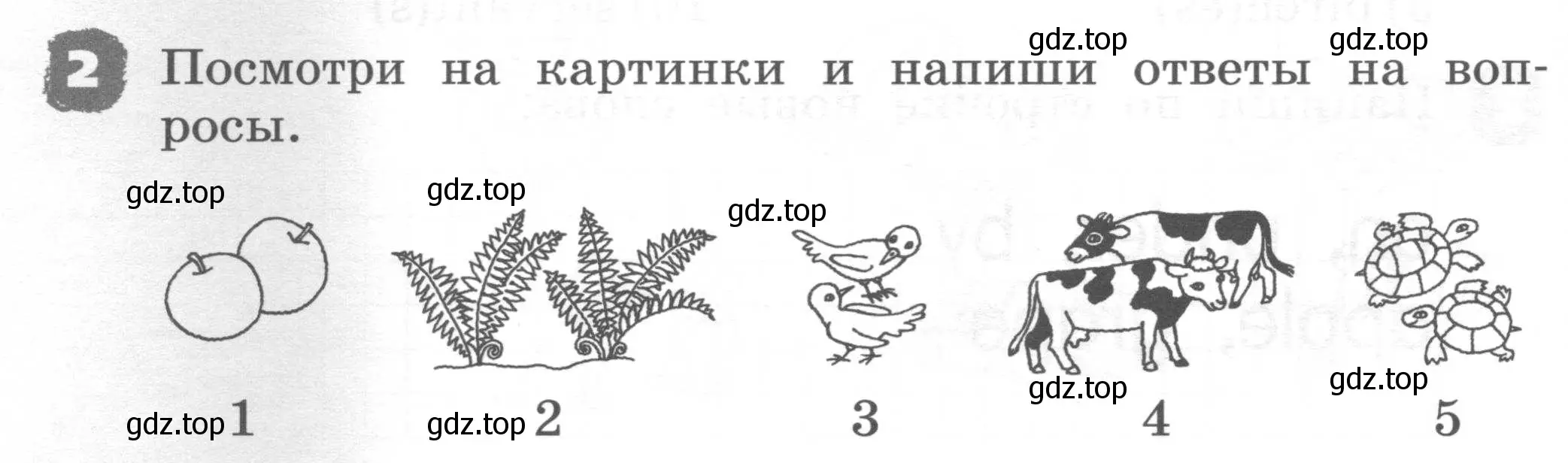 Условие номер 2 (страница 96) гдз по английскому языку 2 класс Афанасьева, Михеева, рабочая тетрадь