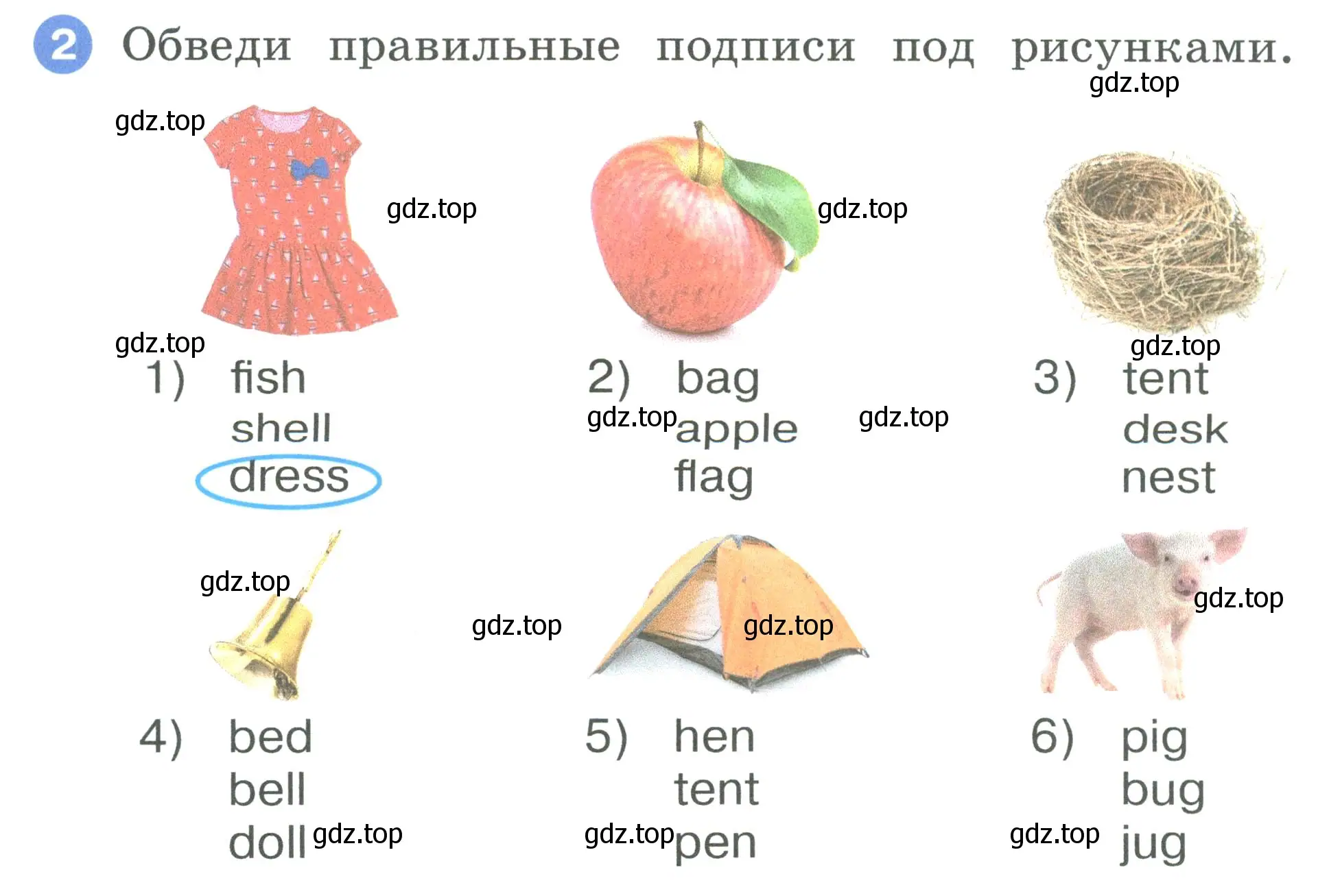 Условие номер 2 (страница 24) гдз по английскому языку 2 класс Афанасьева, Баранова, рабочая тетрадь 1 часть