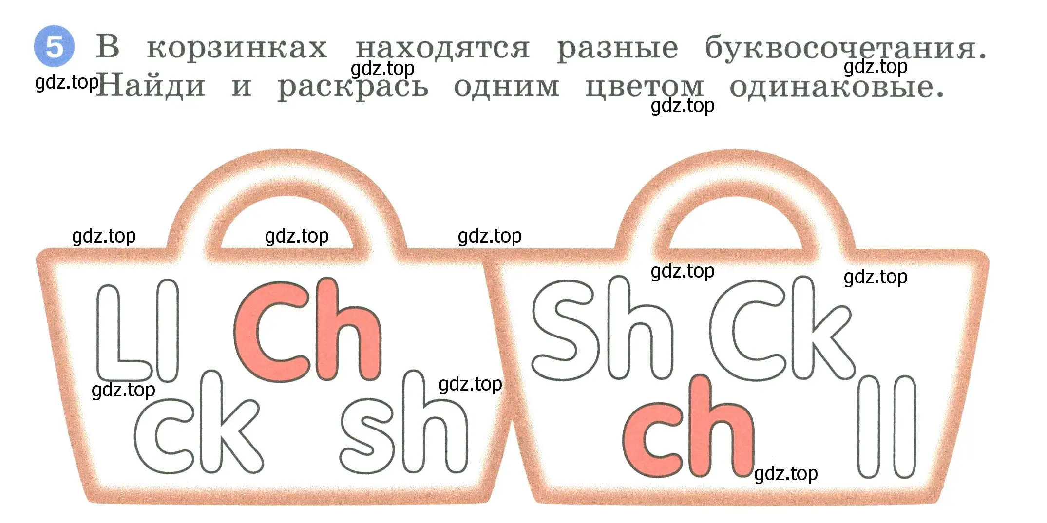 Условие номер 5 (страница 41) гдз по английскому языку 2 класс Афанасьева, Баранова, рабочая тетрадь 1 часть