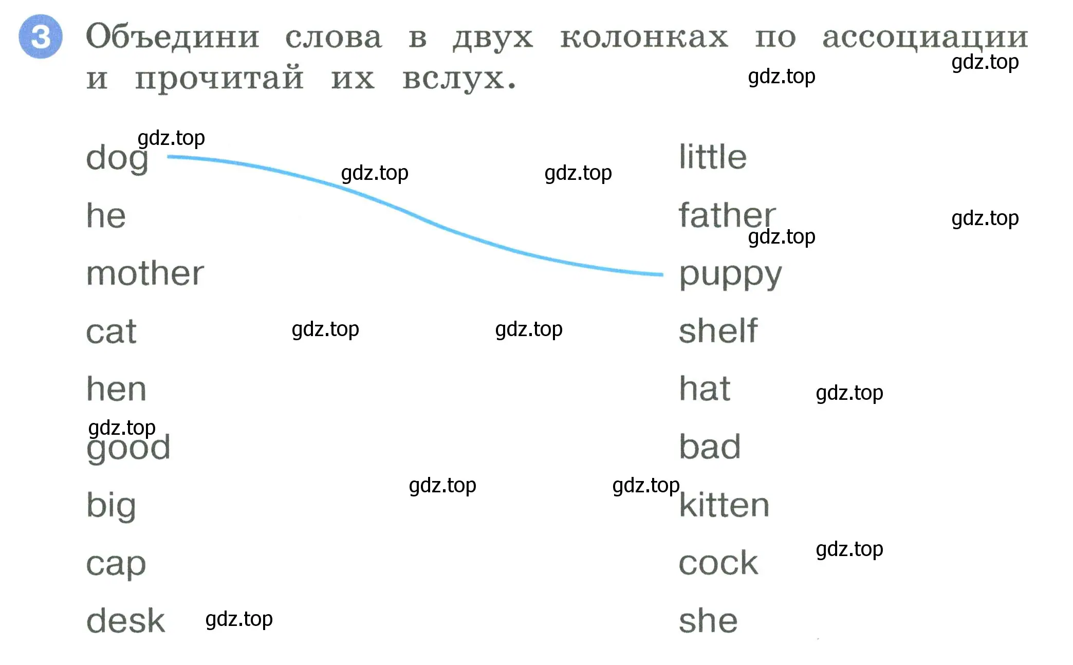 Условие номер 3 (страница 48) гдз по английскому языку 2 класс Афанасьева, Баранова, рабочая тетрадь 1 часть