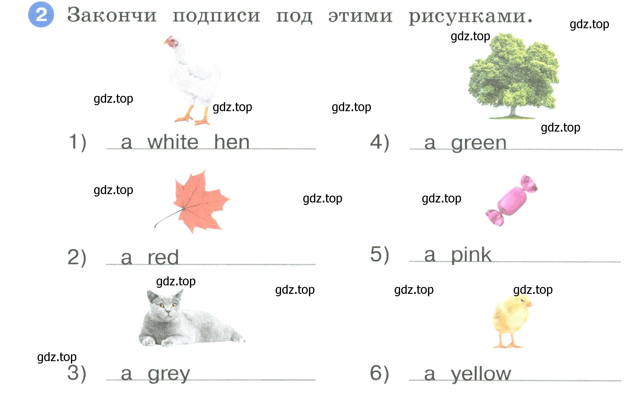 Условие номер 2 (страница 6) гдз по английскому языку 2 класс Афанасьева, Баранова, рабочая тетрадь 2 часть