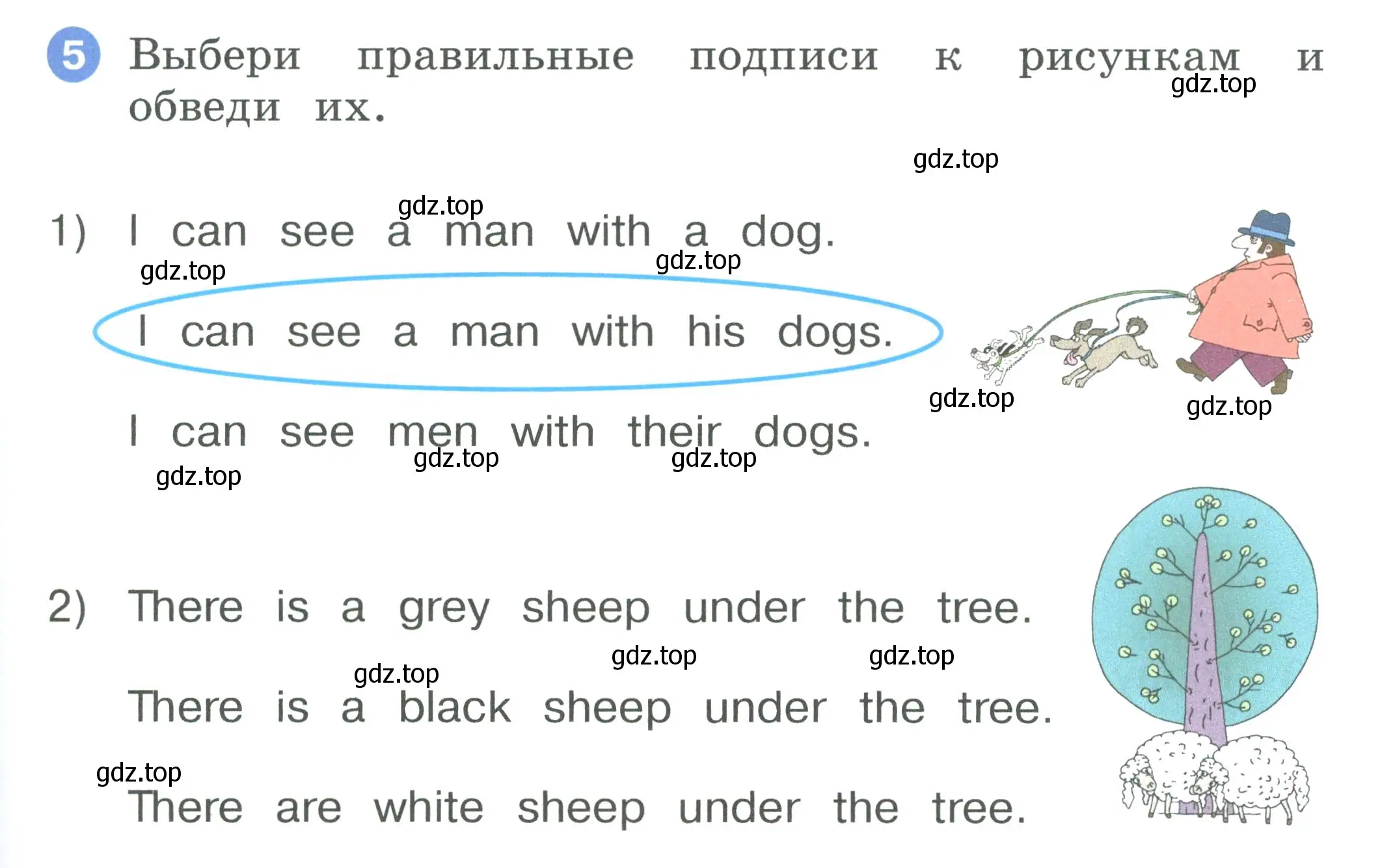 Условие номер 5 (страница 53) гдз по английскому языку 2 класс Афанасьева, Баранова, рабочая тетрадь 2 часть