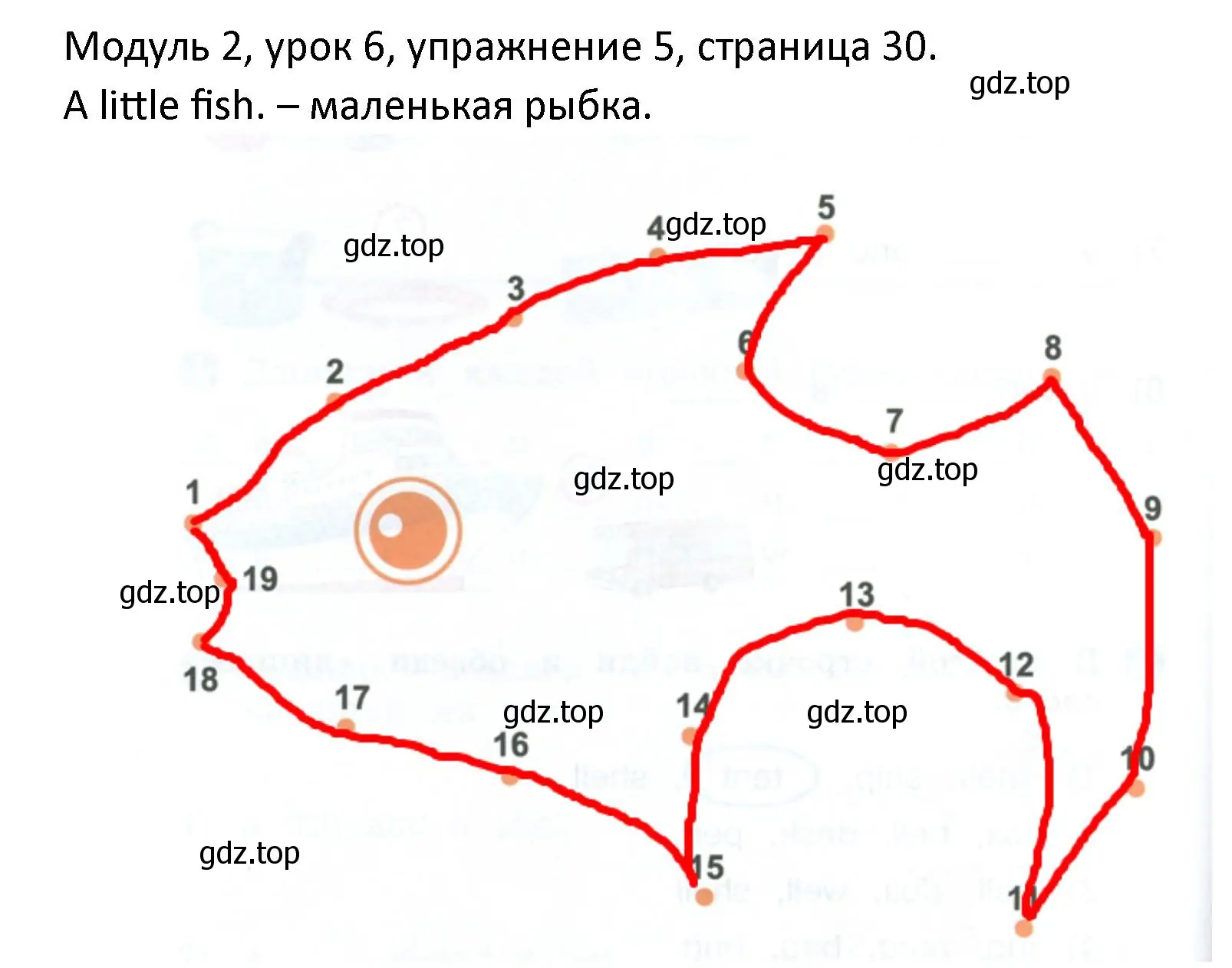 Решение номер 5 (страница 30) гдз по английскому языку 2 класс Афанасьева, Баранова, рабочая тетрадь 1 часть