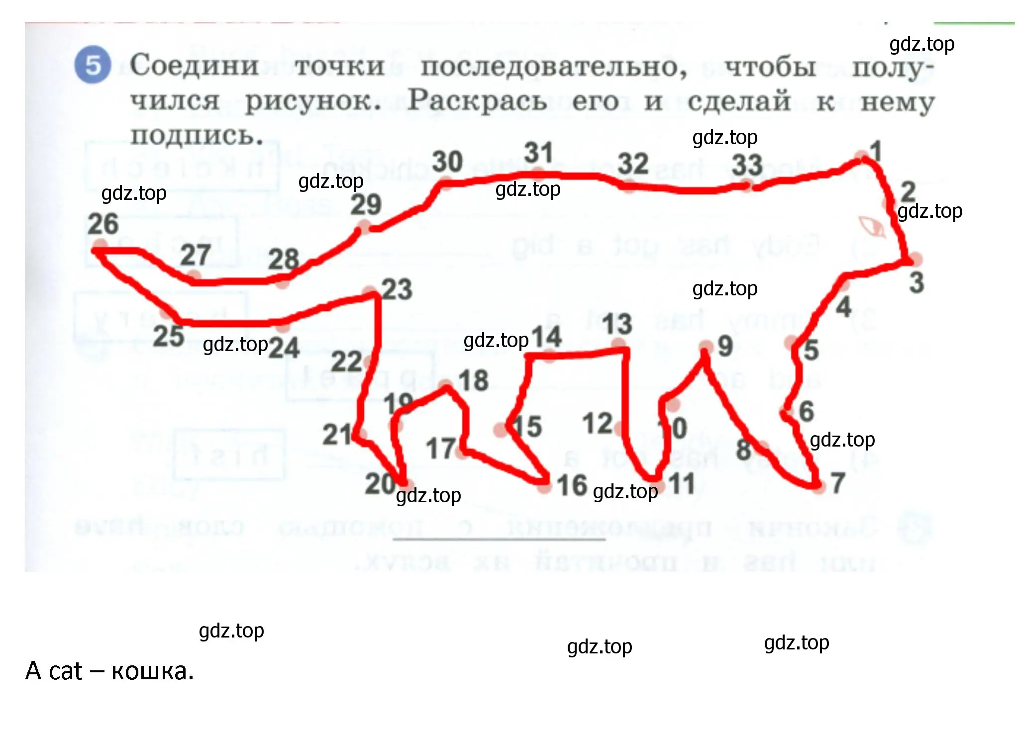 Решение номер 5 (страница 37) гдз по английскому языку 2 класс Афанасьева, Баранова, рабочая тетрадь 1 часть