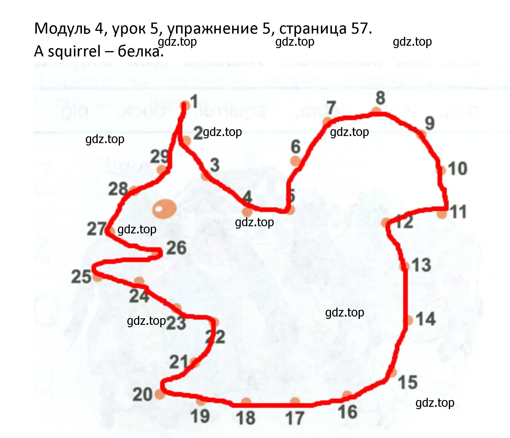 Решение номер 5 (страница 58) гдз по английскому языку 2 класс Афанасьева, Баранова, рабочая тетрадь 1 часть