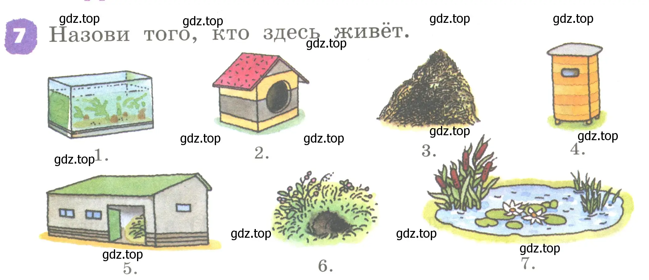 Условие номер 7 (страница 73) гдз по английскому языку 2 класс Афанасьева, Михеева, учебник 1 часть