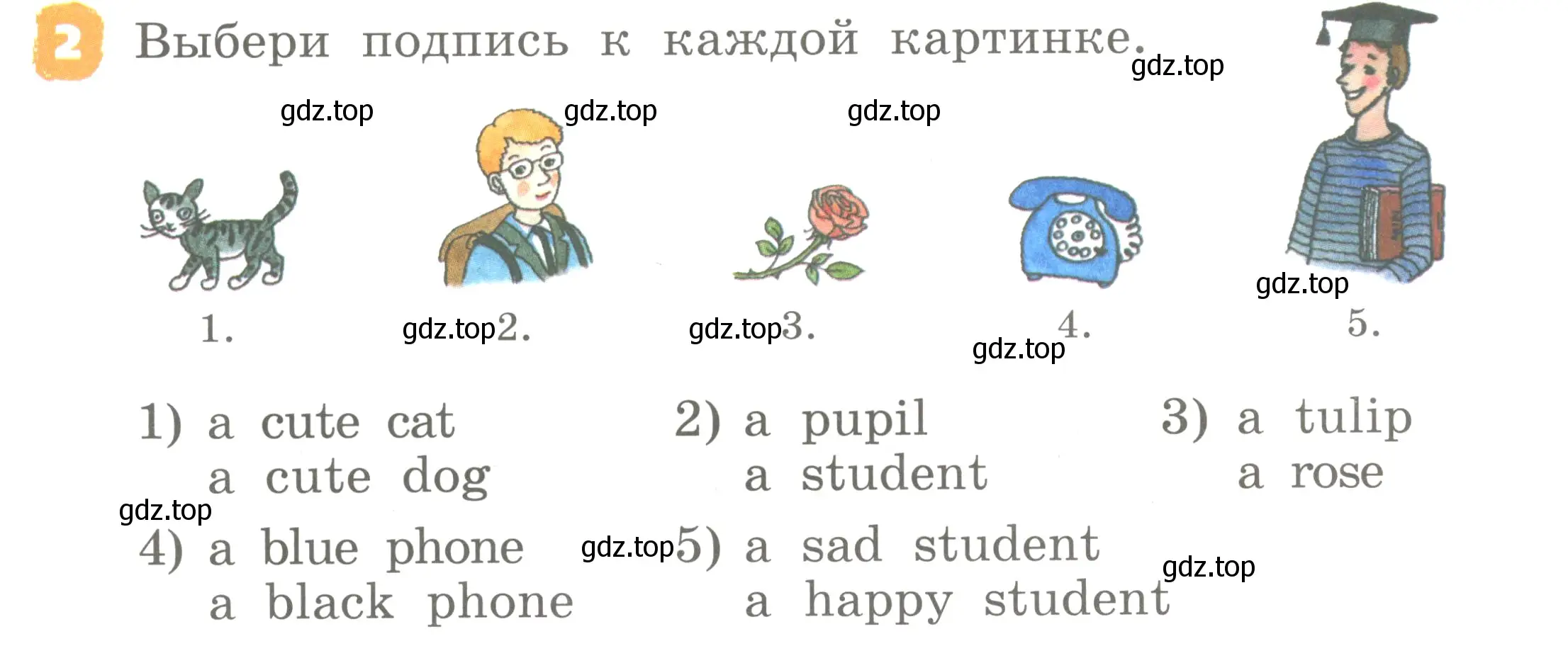 Условие номер 2 (страница 29) гдз по английскому языку 2 класс Афанасьева, Михеева, учебник 2 часть