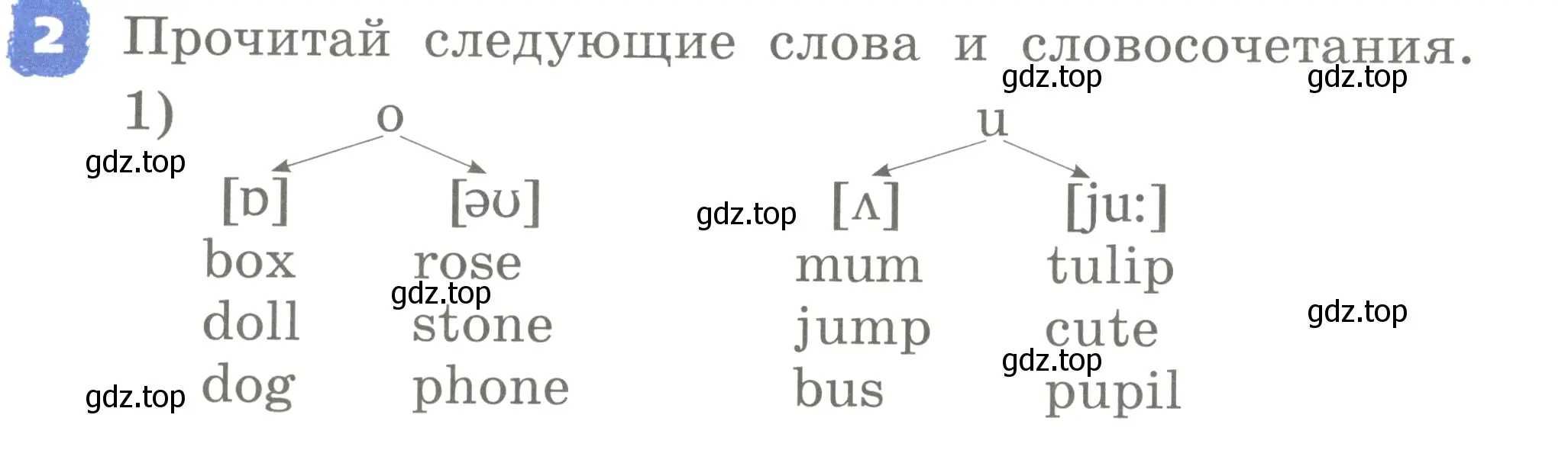 Условие номер 2 (страница 40) гдз по английскому языку 2 класс Афанасьева, Михеева, учебник 2 часть