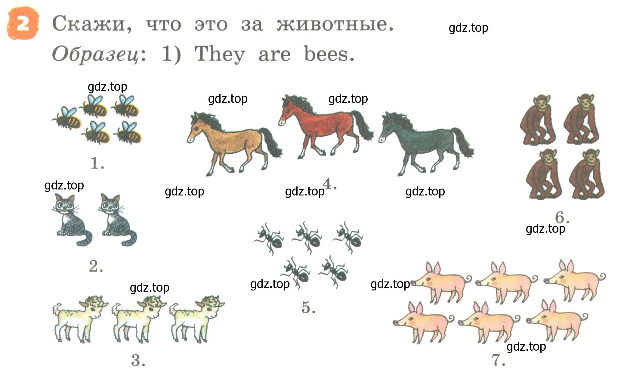 Условие номер 2 (страница 66) гдз по английскому языку 2 класс Афанасьева, Михеева, учебник 2 часть